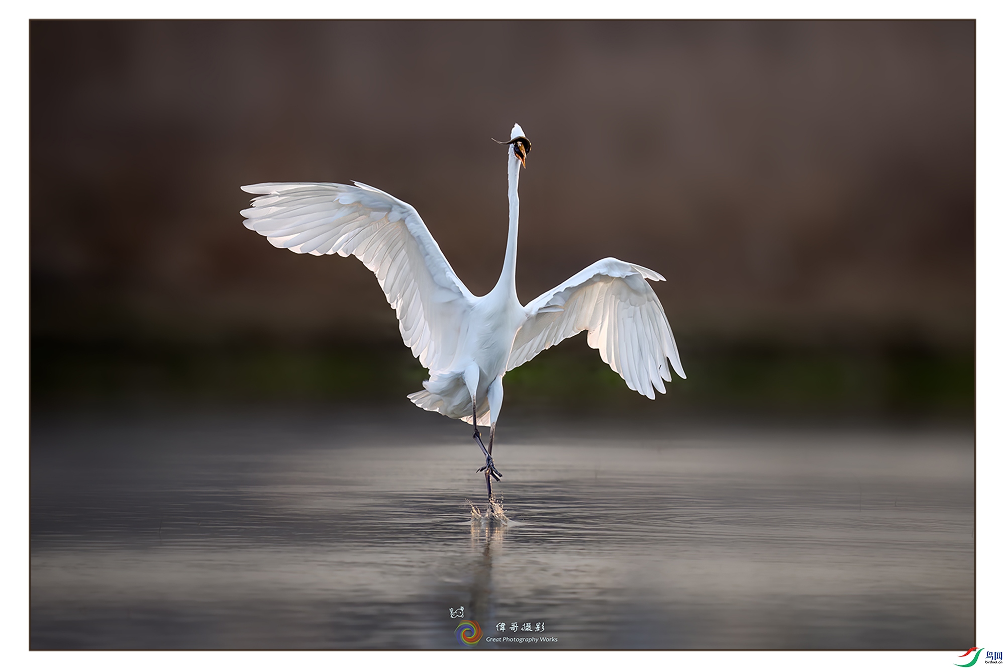 LZW01687-����ǿ-NR ���� 2.jpg