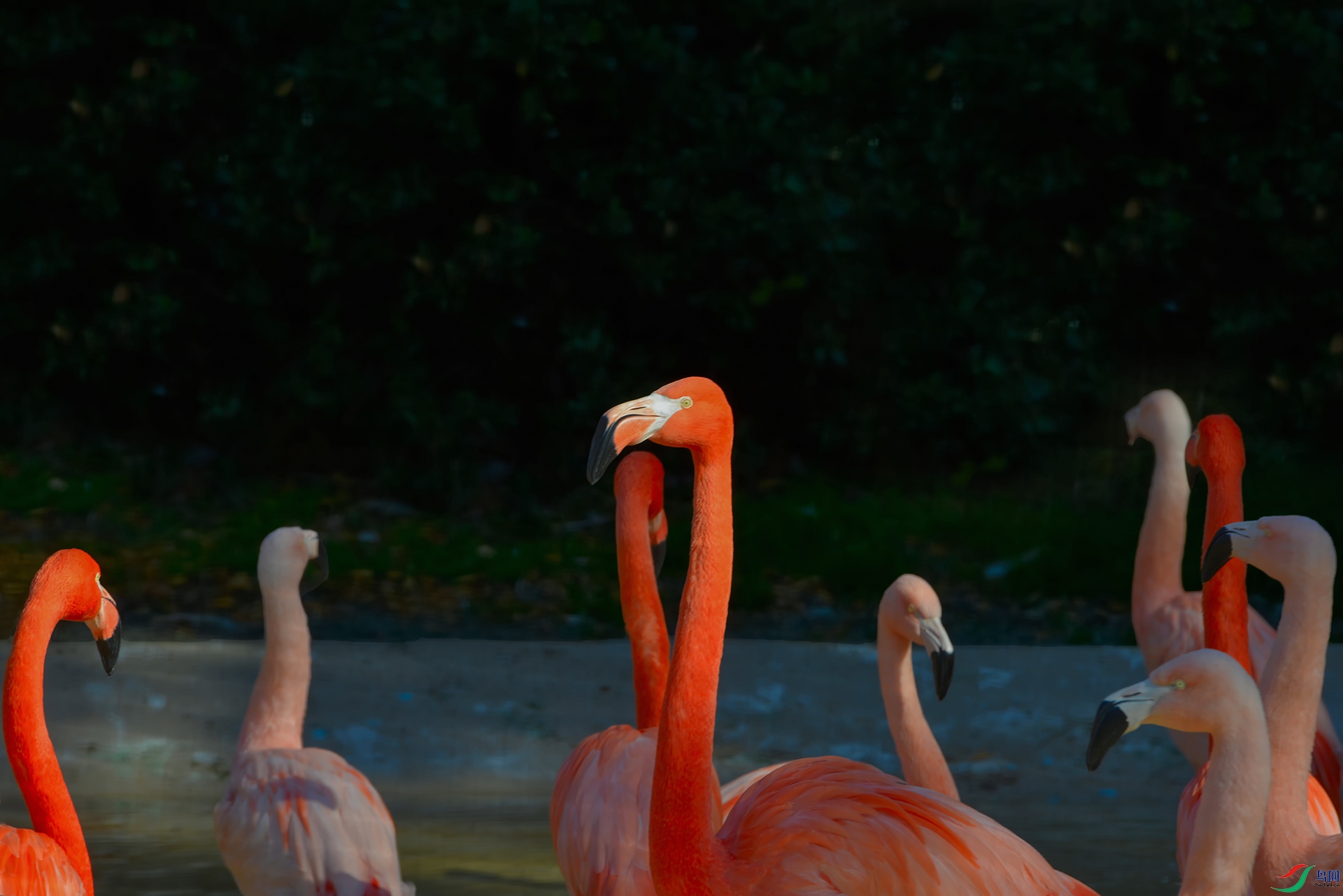 DSC_3137_DxOa.jpg