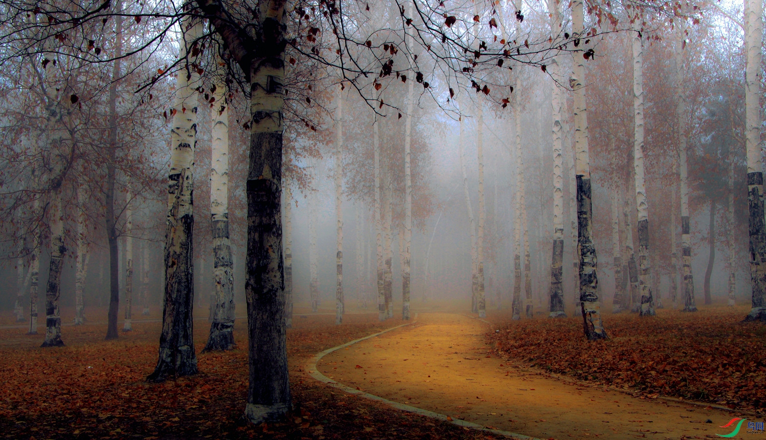 �����е�С·