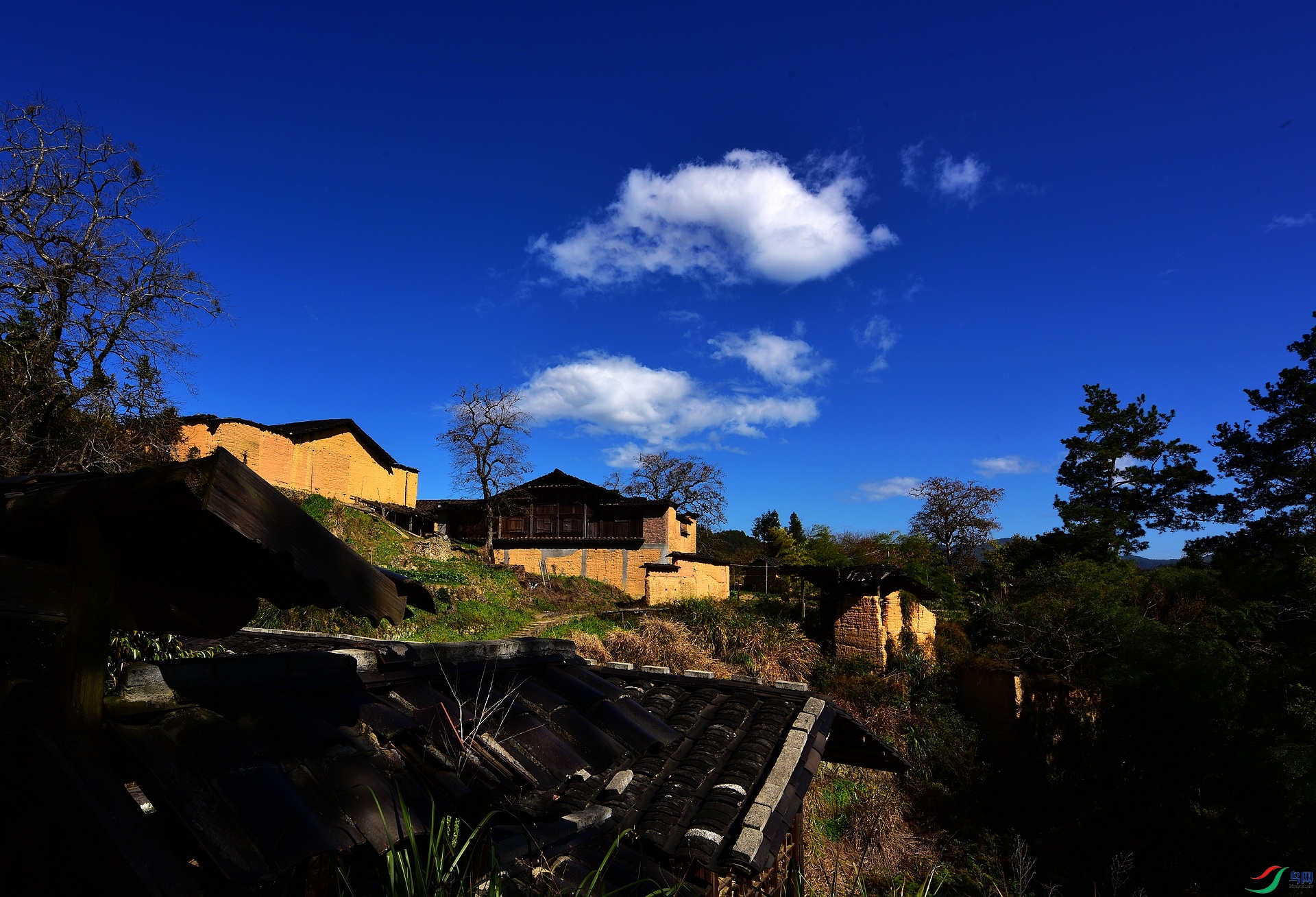 D8I_8462.jpg