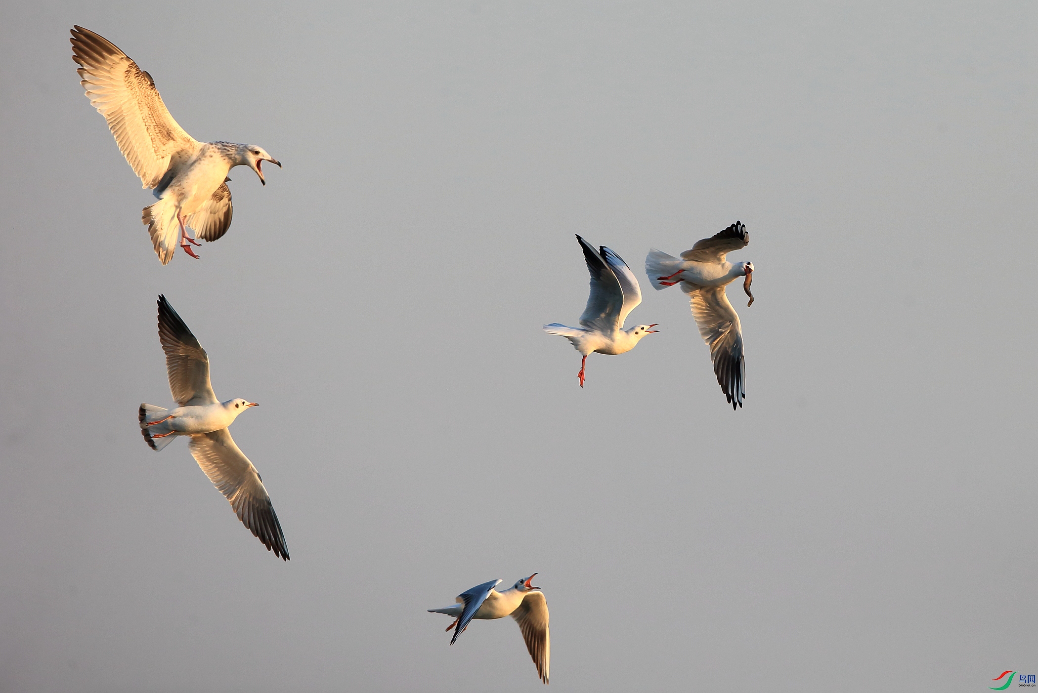 _P0P1432.JPG