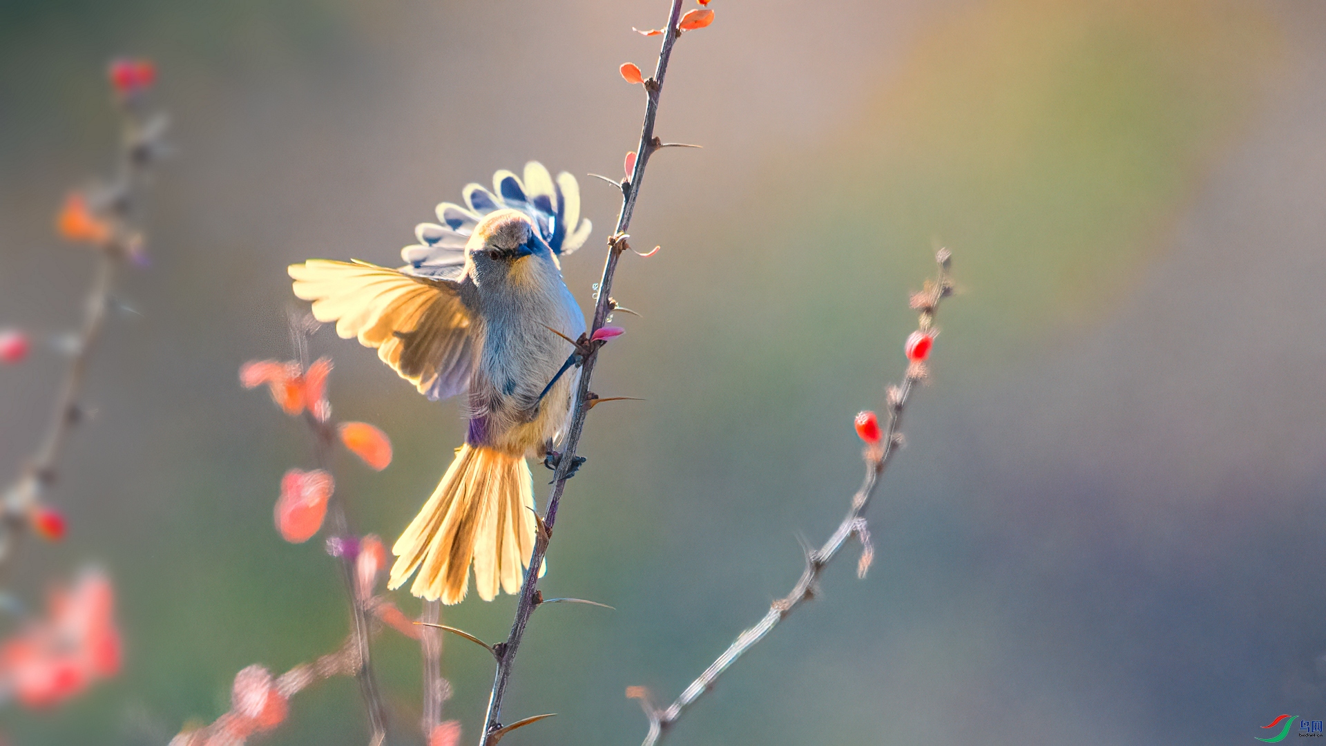 ��Ƭ_DSC5356 ����.jpg