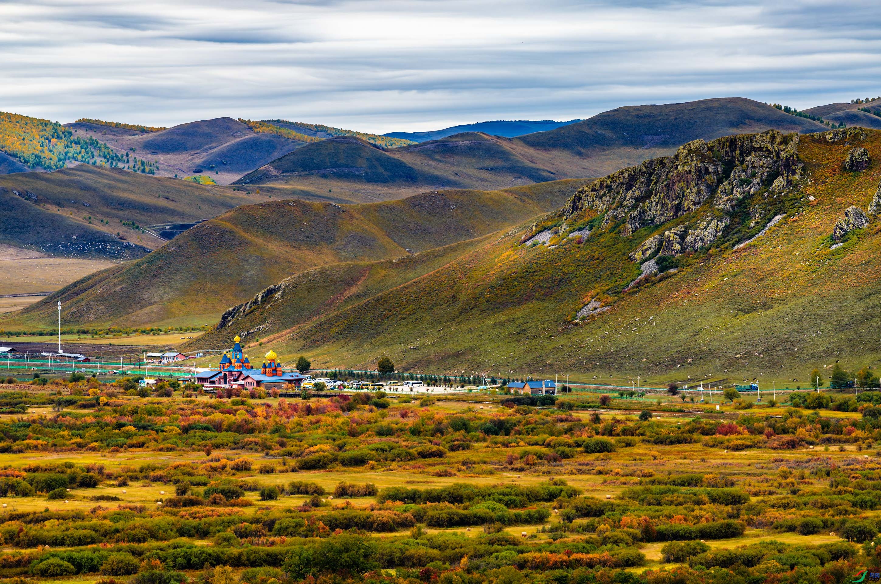 �������ʪ��