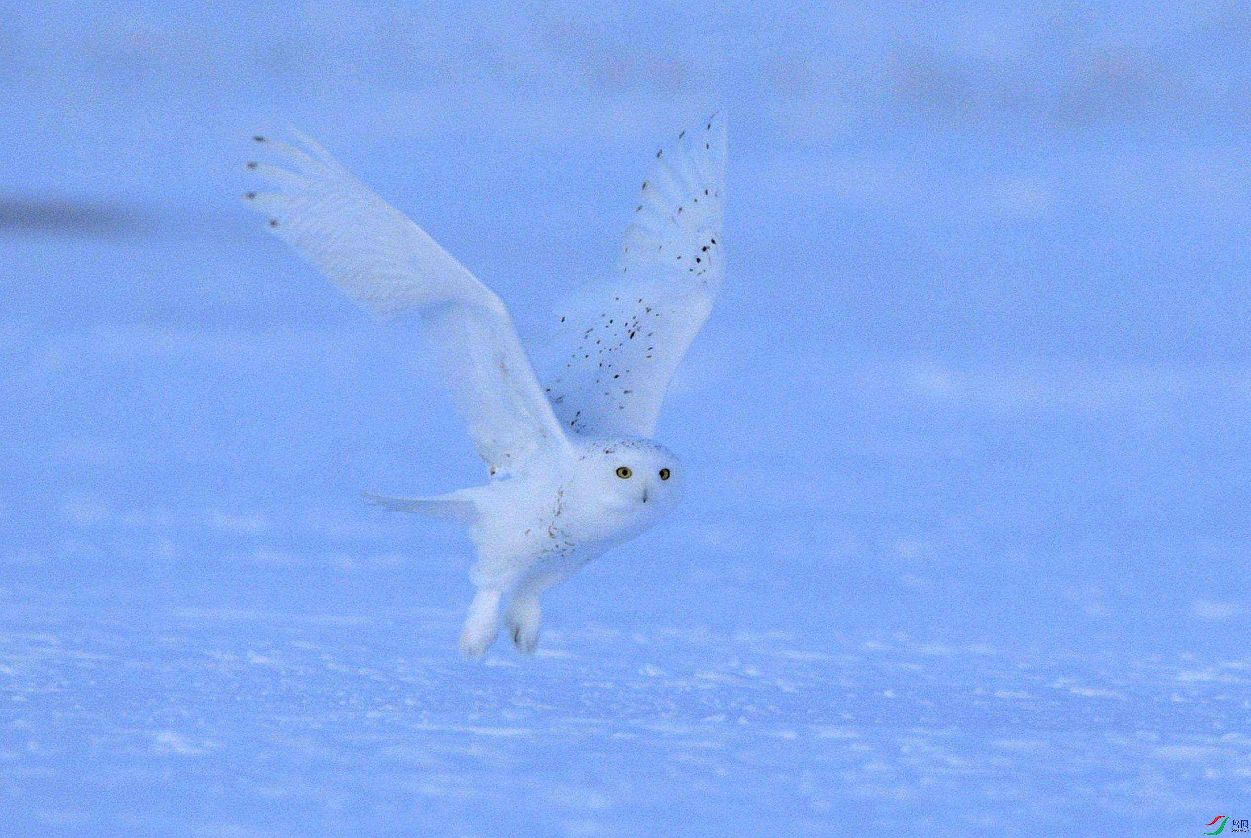 ����֮�ס�