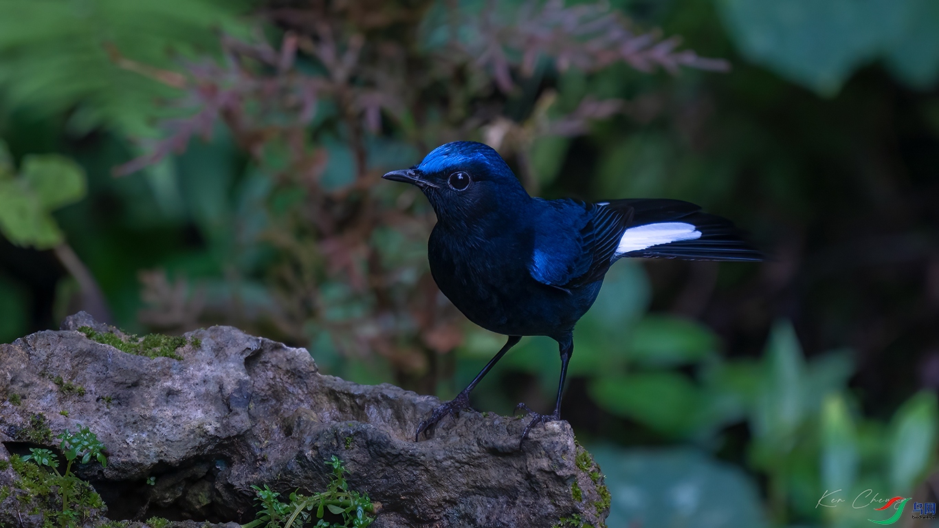 DSC04010-�༭-����ǿ.jpg