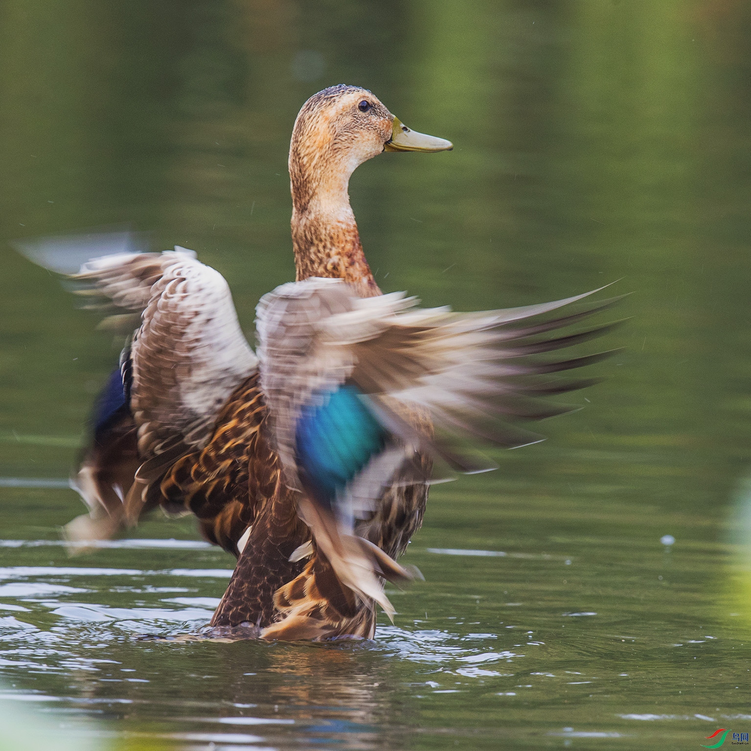 _90I2924 ����.jpg