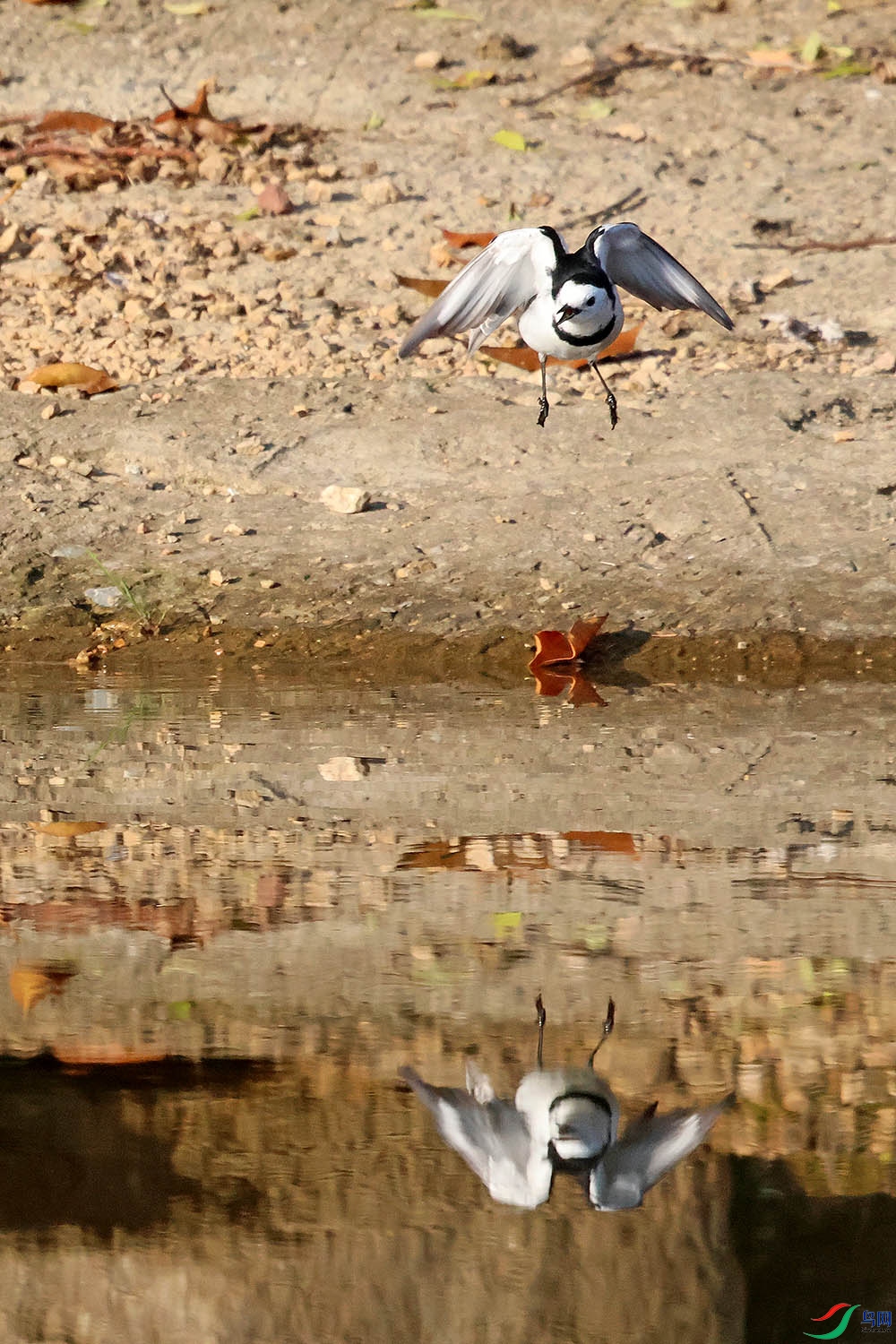 2G9A4133.jpg
