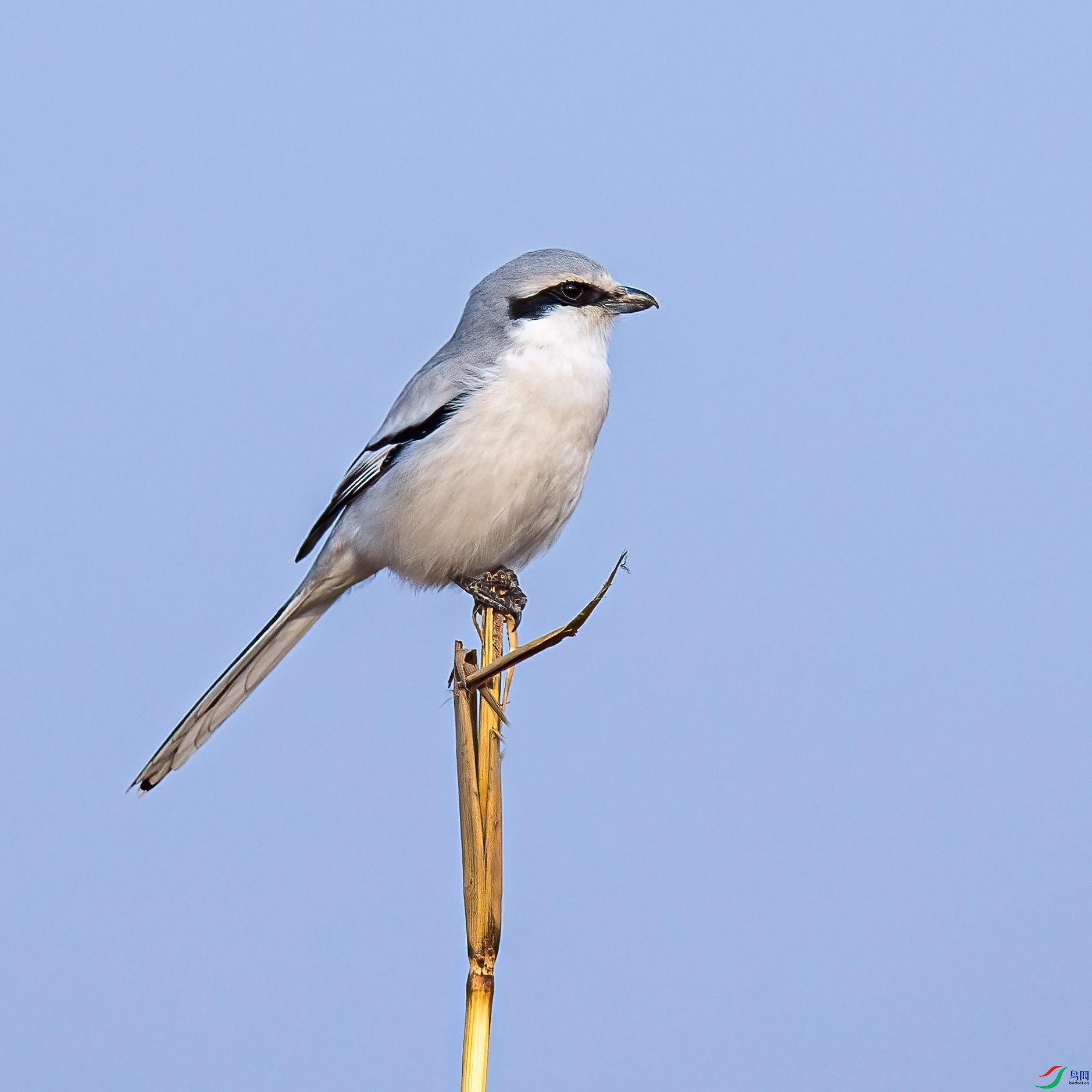 2021-01-27 141557_����.jpg