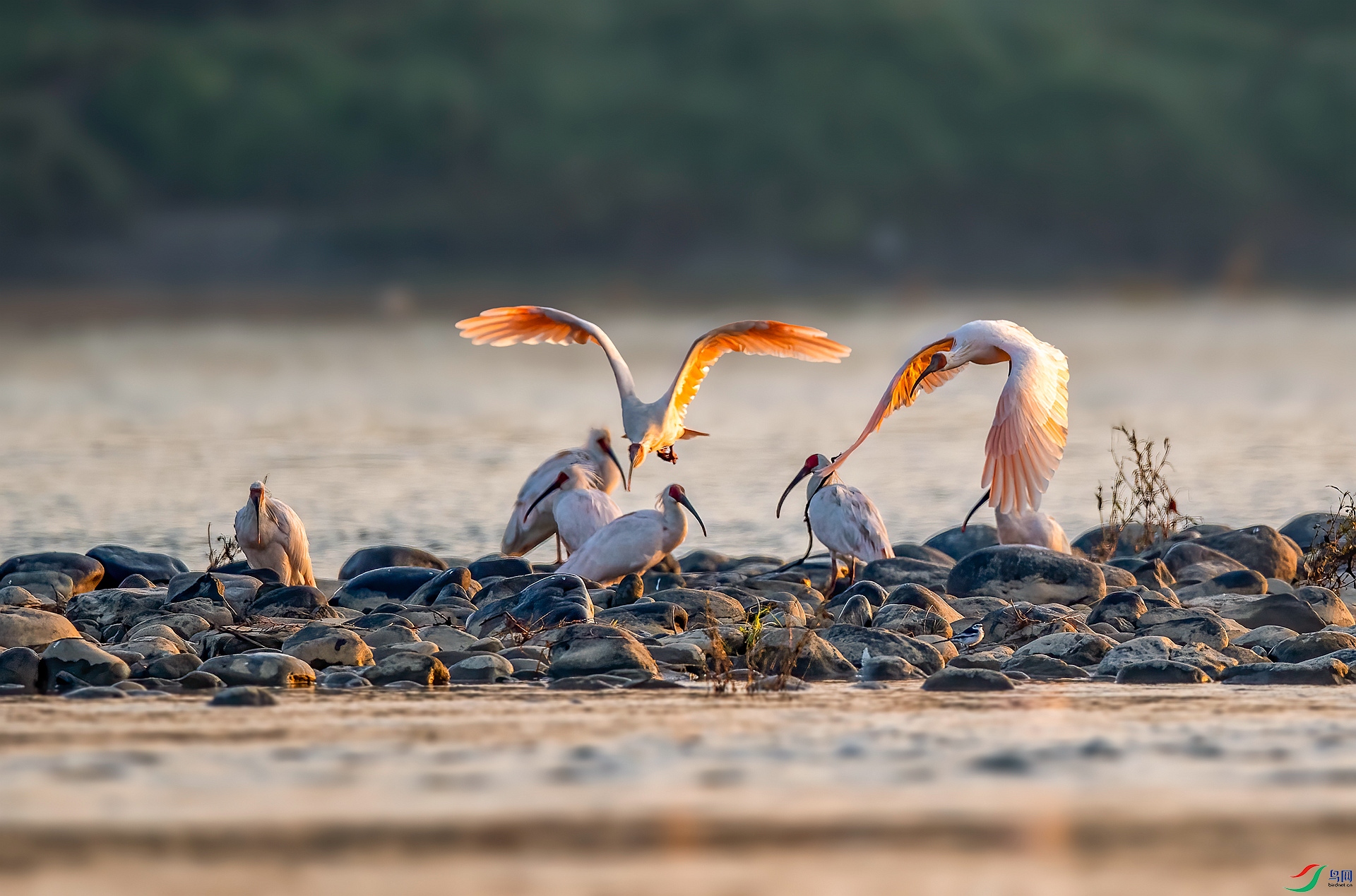 DSC_0712 ����_����.jpg