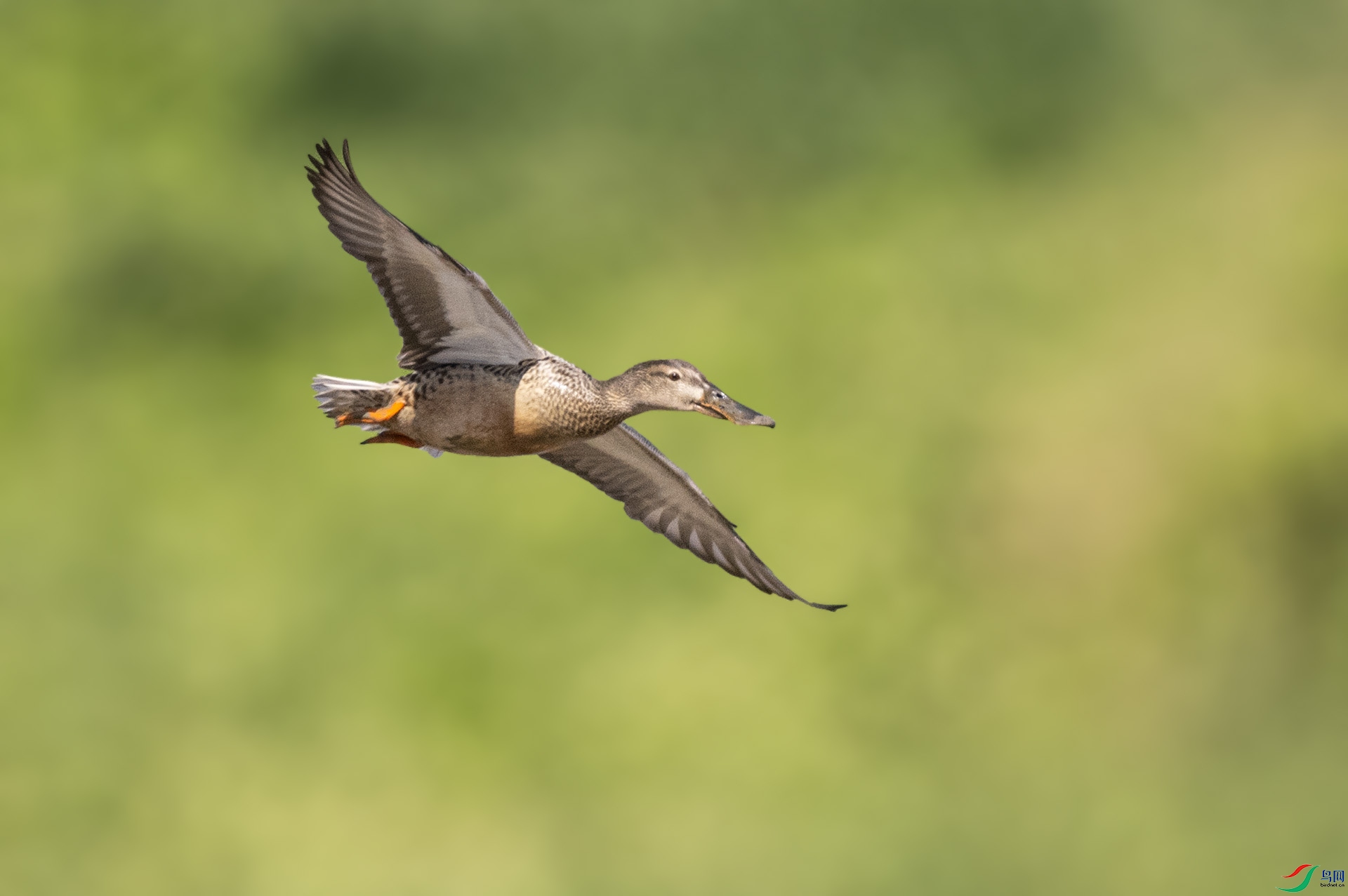 ��DSC_6762 ��ؐ.jpg