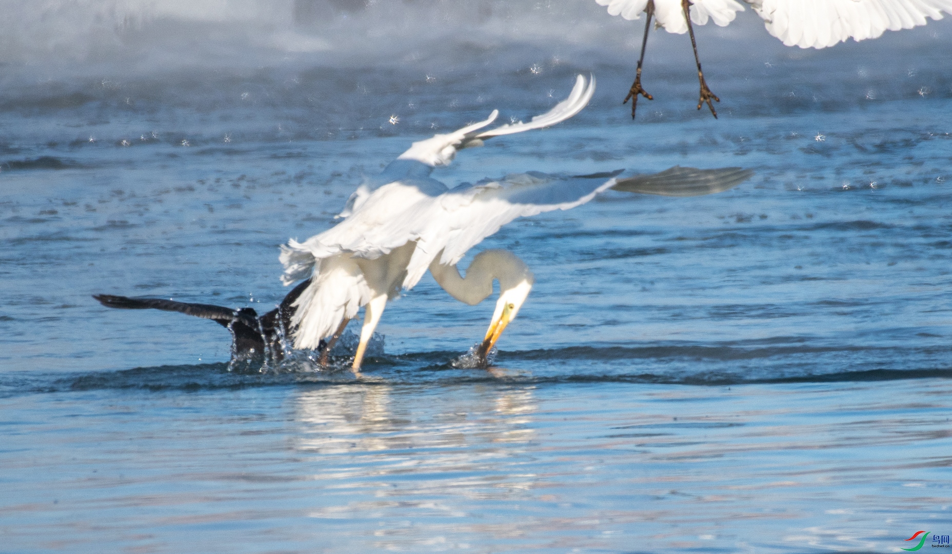DSC_2262.jpg
