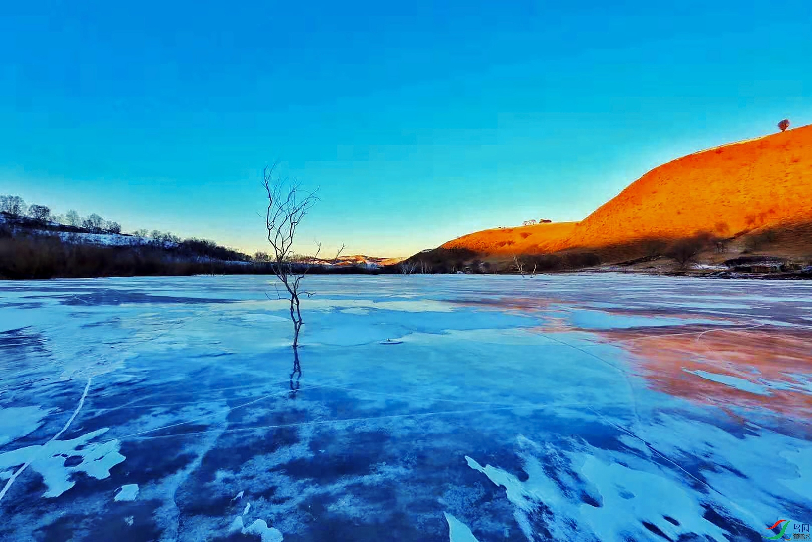 ����.jpg