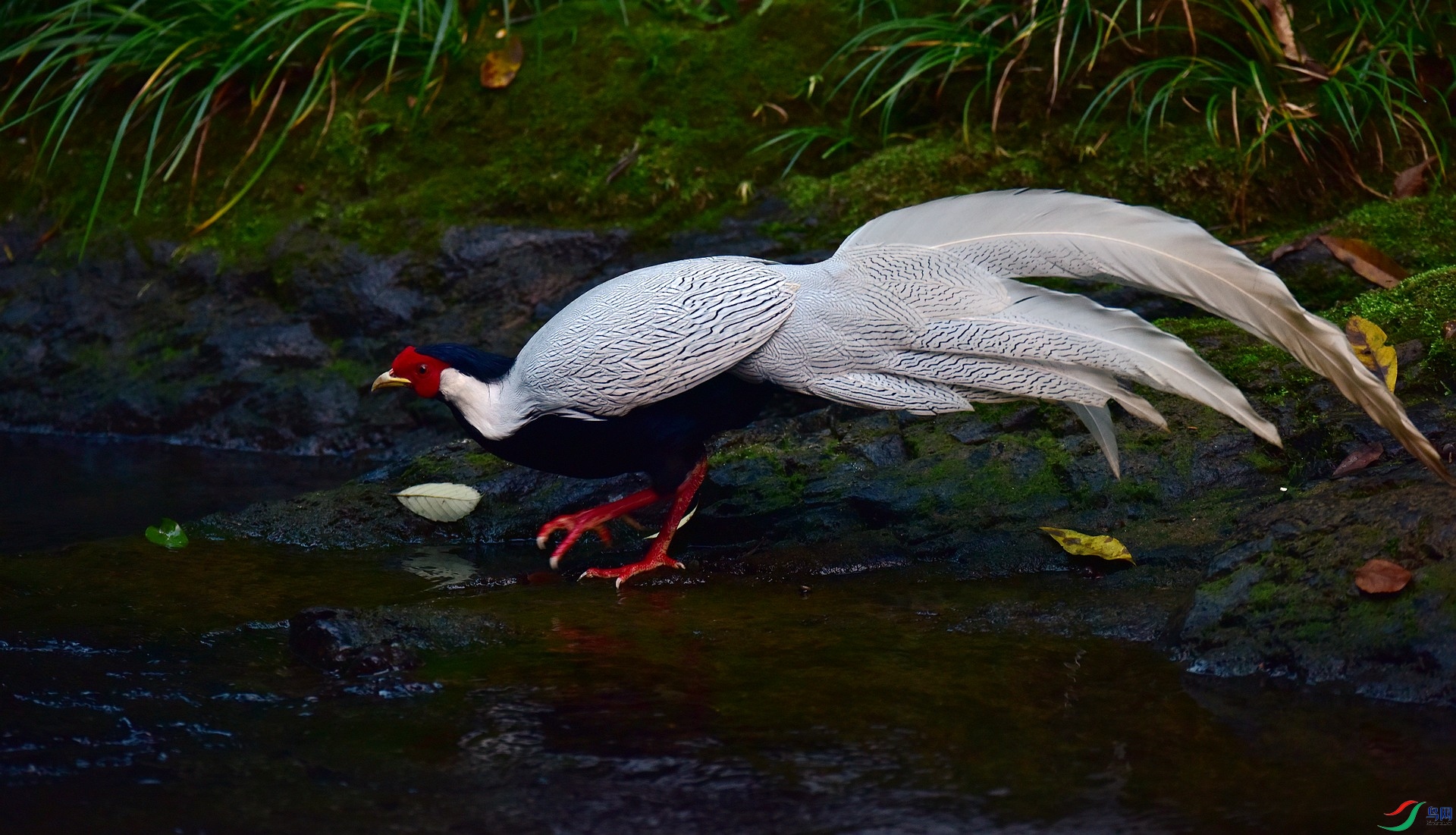 D8I_9902.jpg