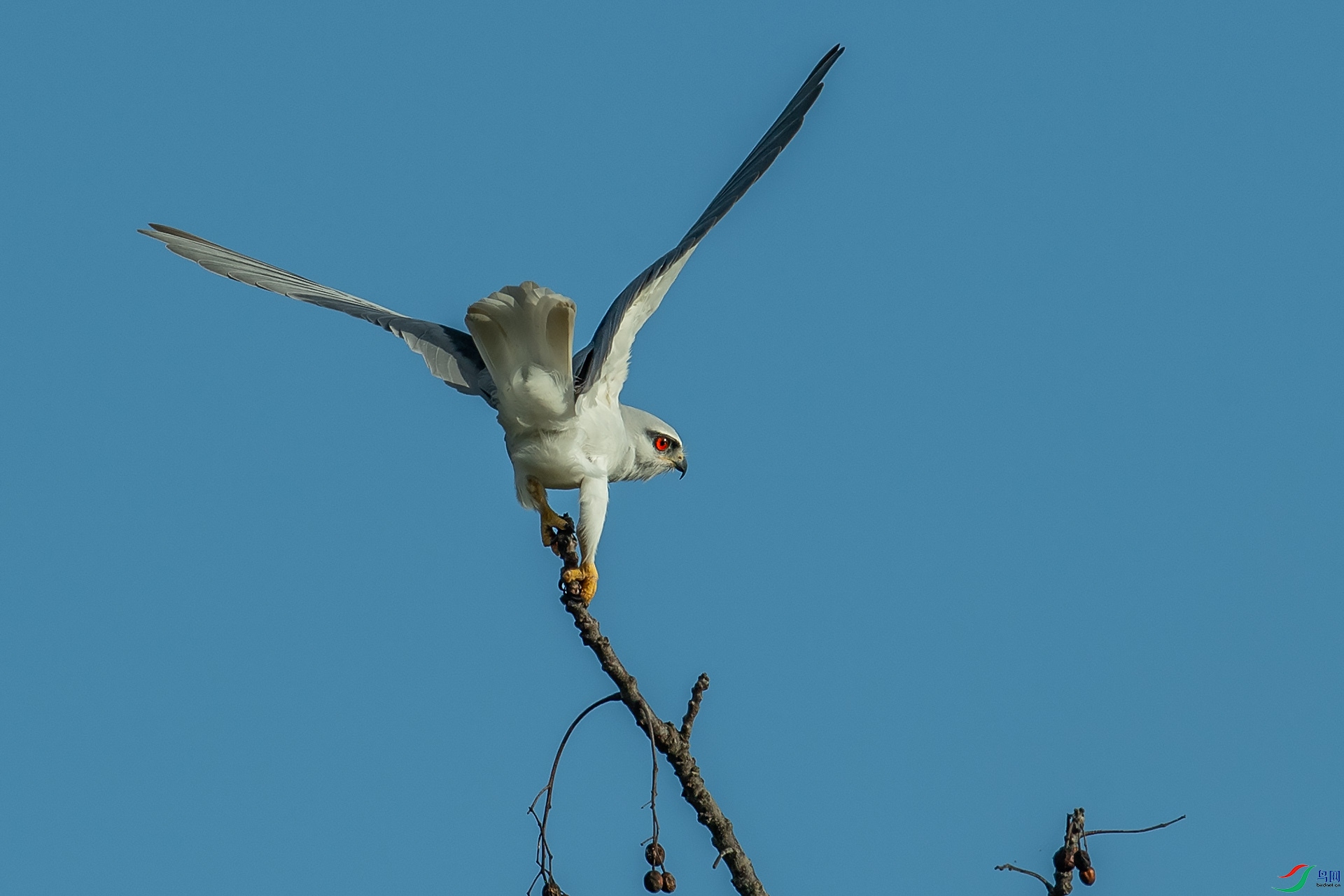 DSC_6759.jpg