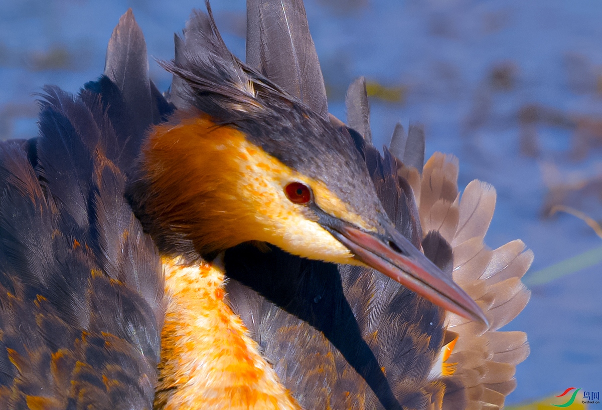 DSC_9749.JPG