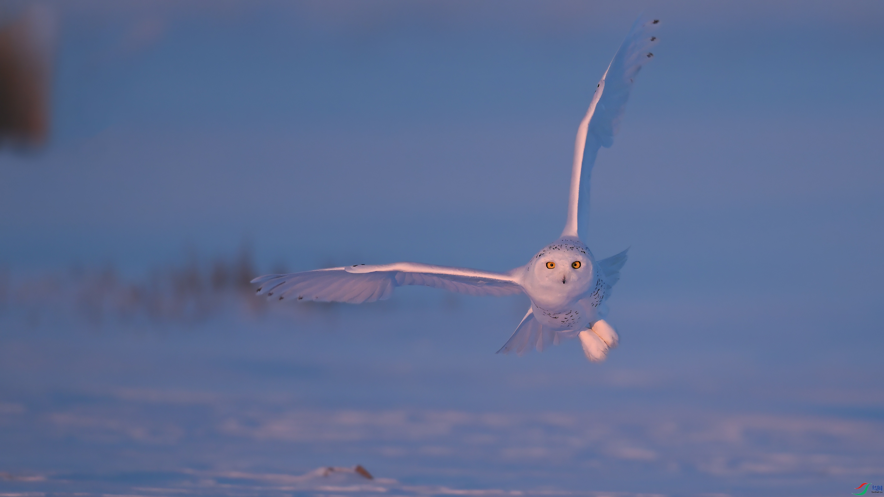 ѩ�^DSC_7112.jpg