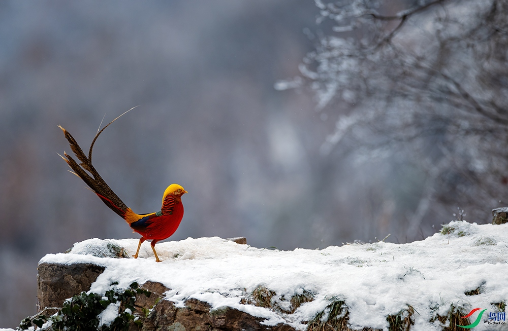 DSC_7683A.jpg