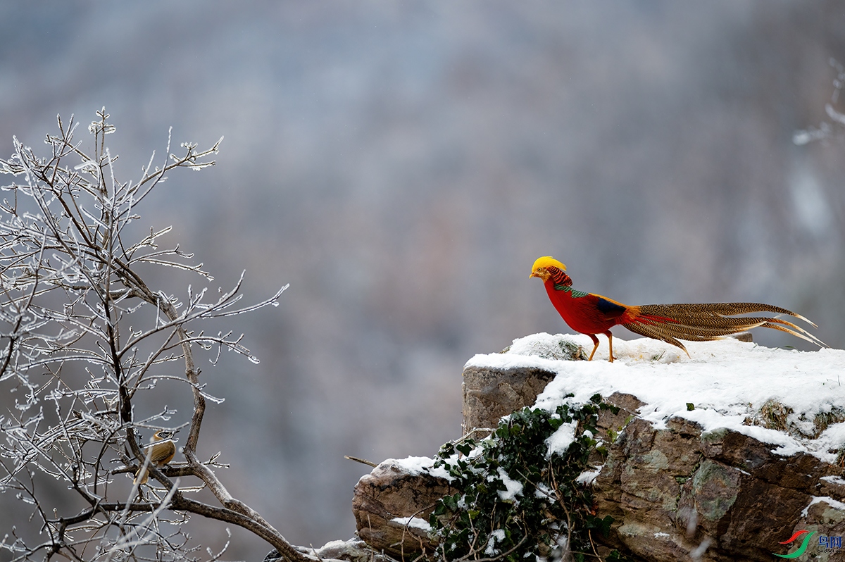 DSC_7919A.jpg