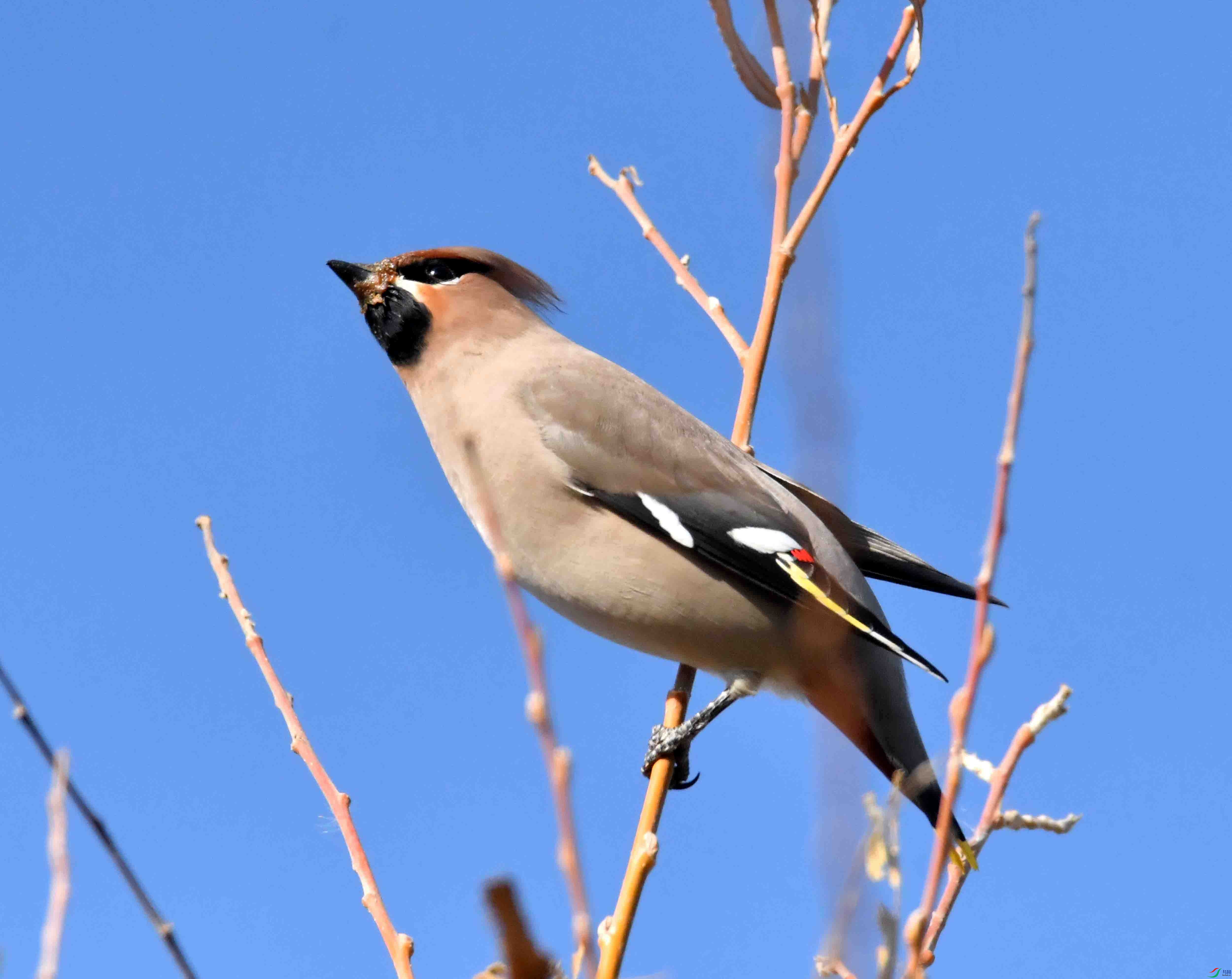 DSC_8334.JPG