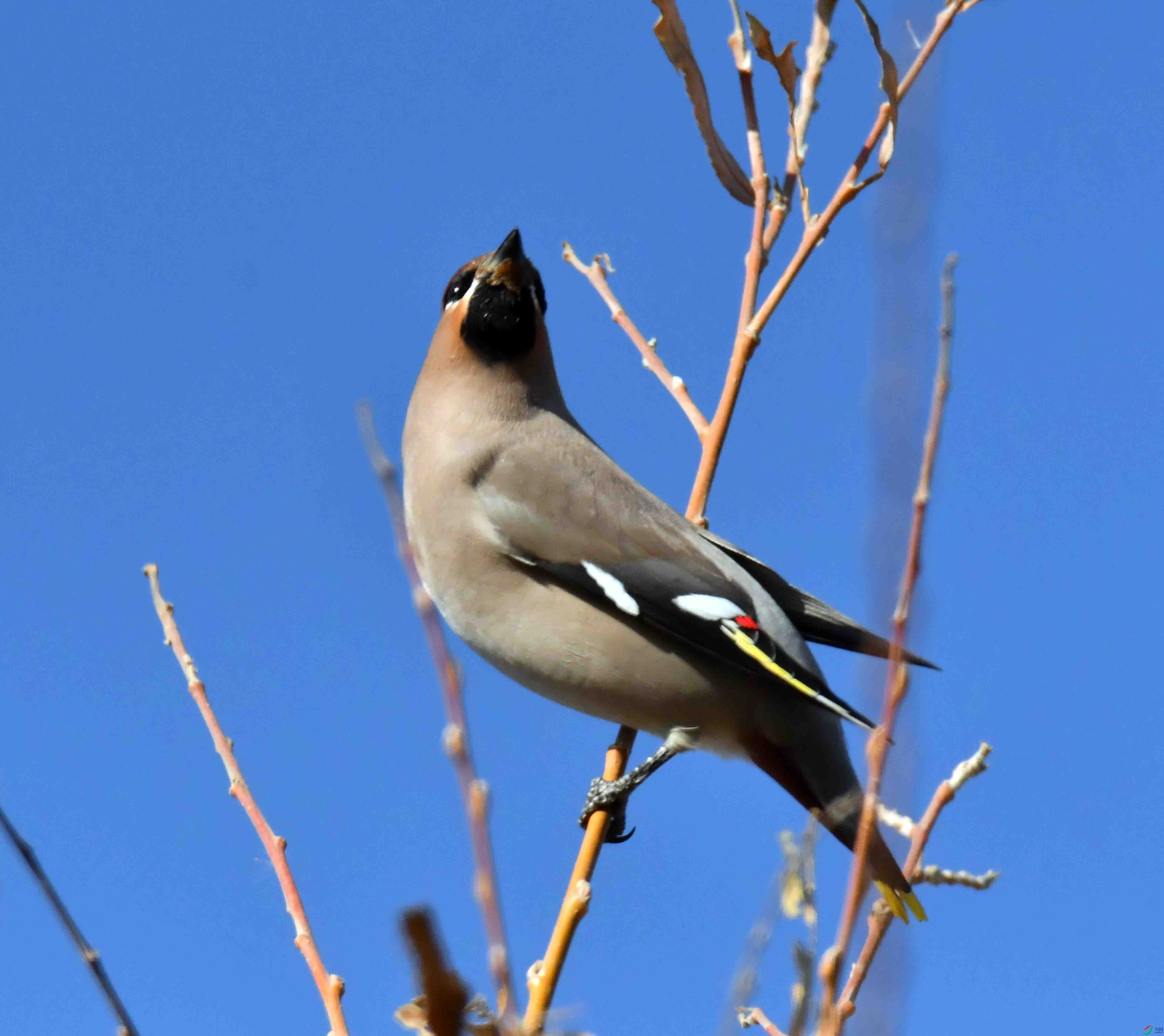 DSC_8335.JPG