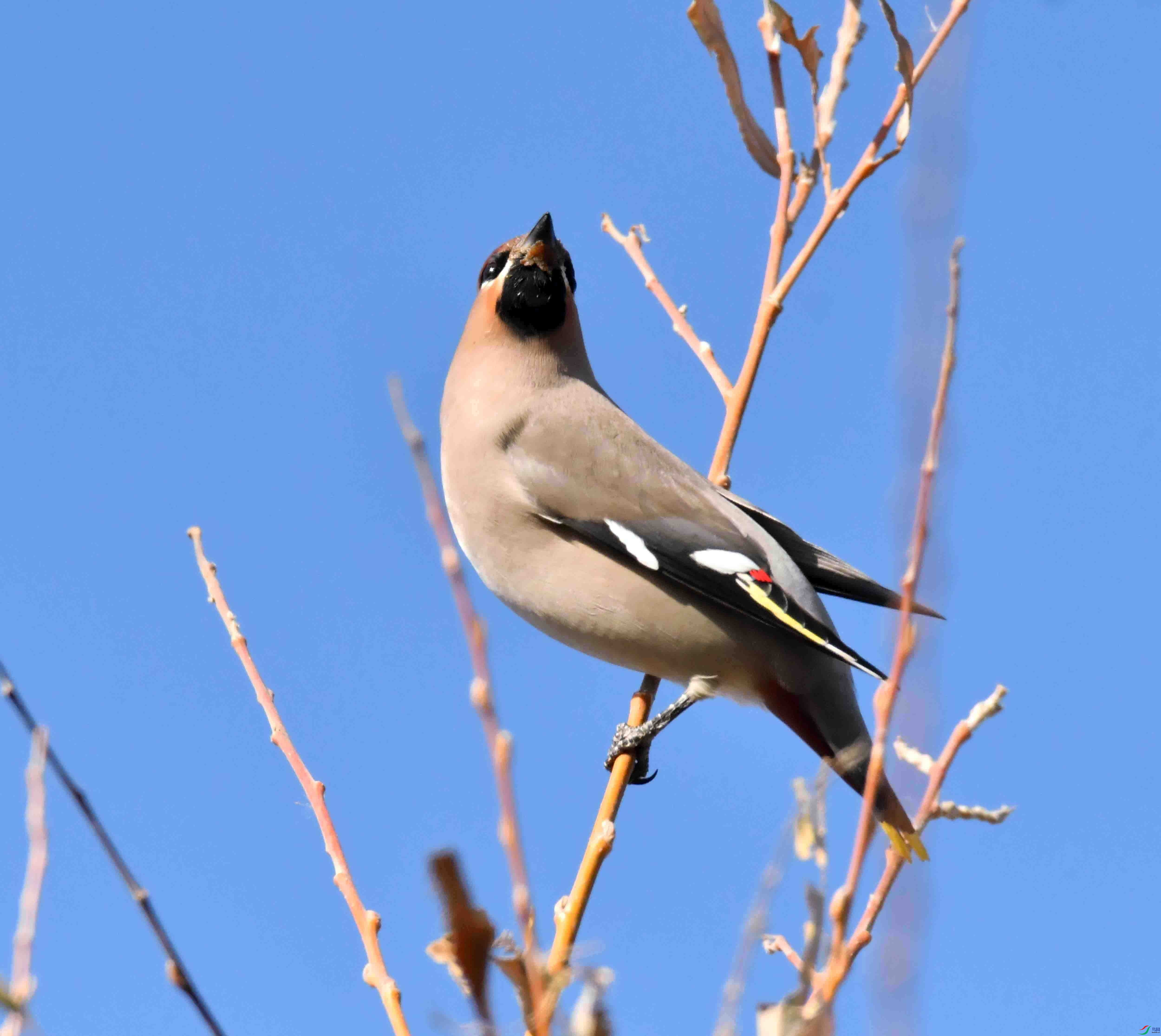 DSC_8336.JPG