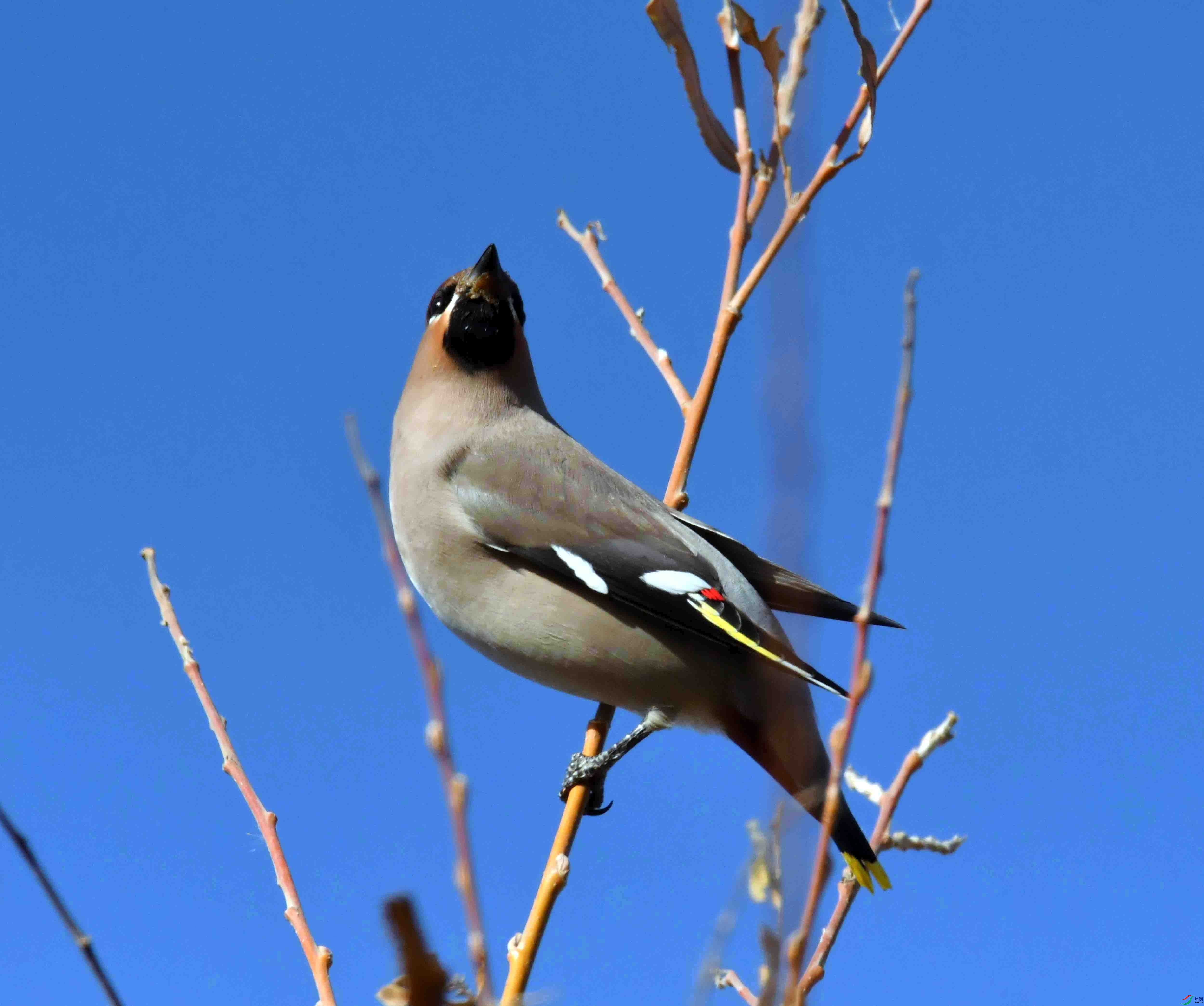 DSC_8337.JPG