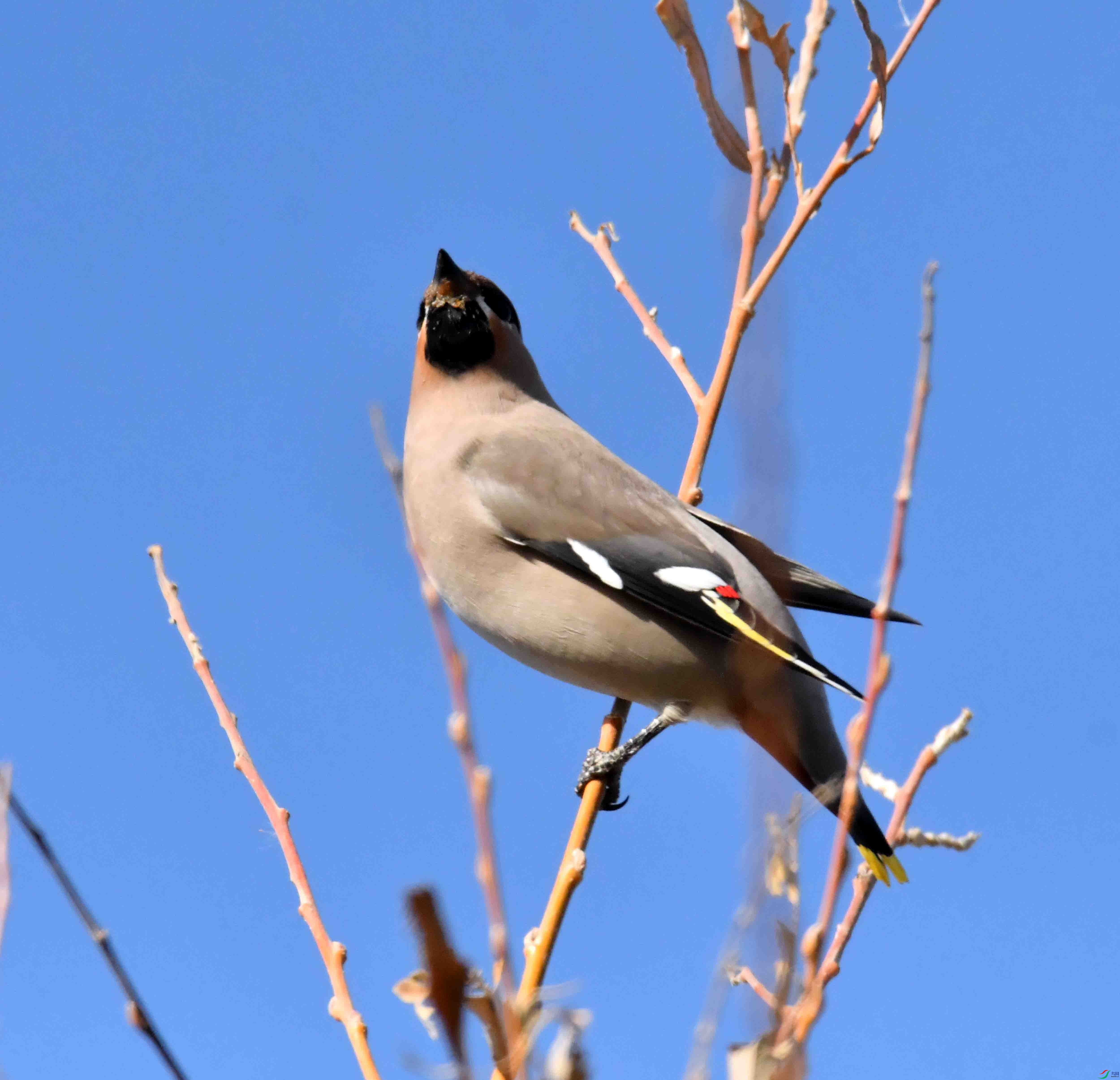 DSC_8338.JPG