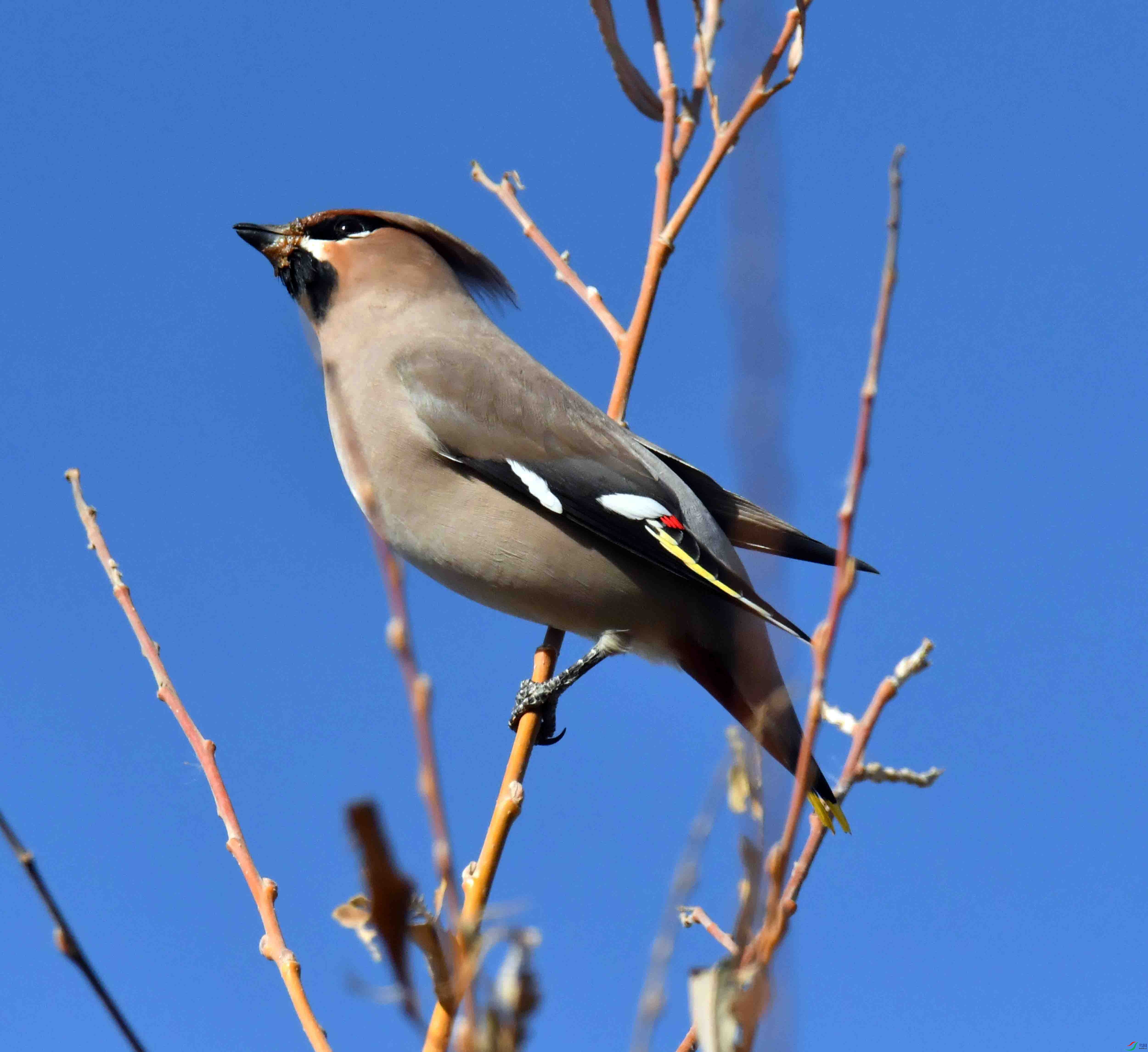 DSC_8339.JPG