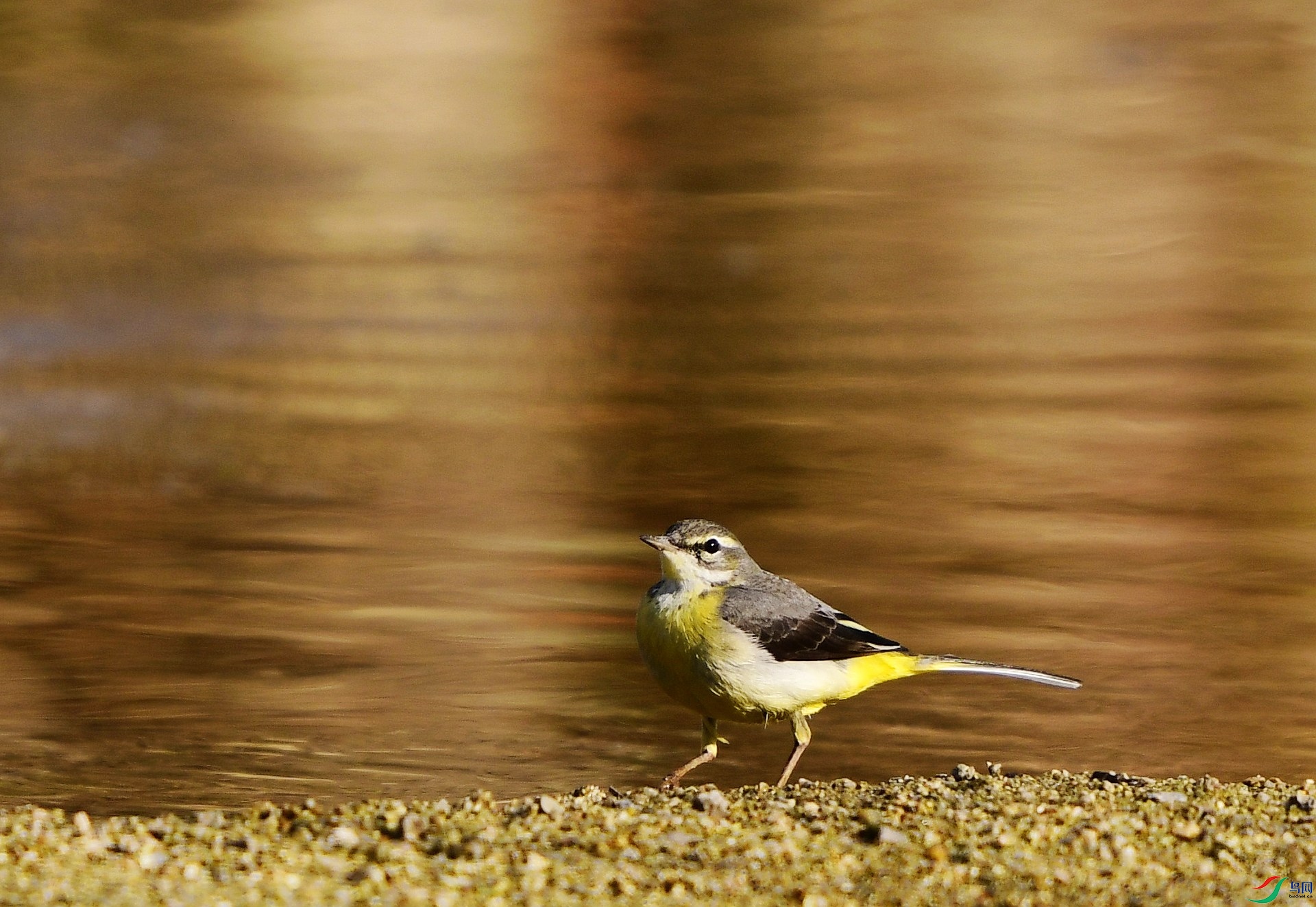 _D5D3808.jpg