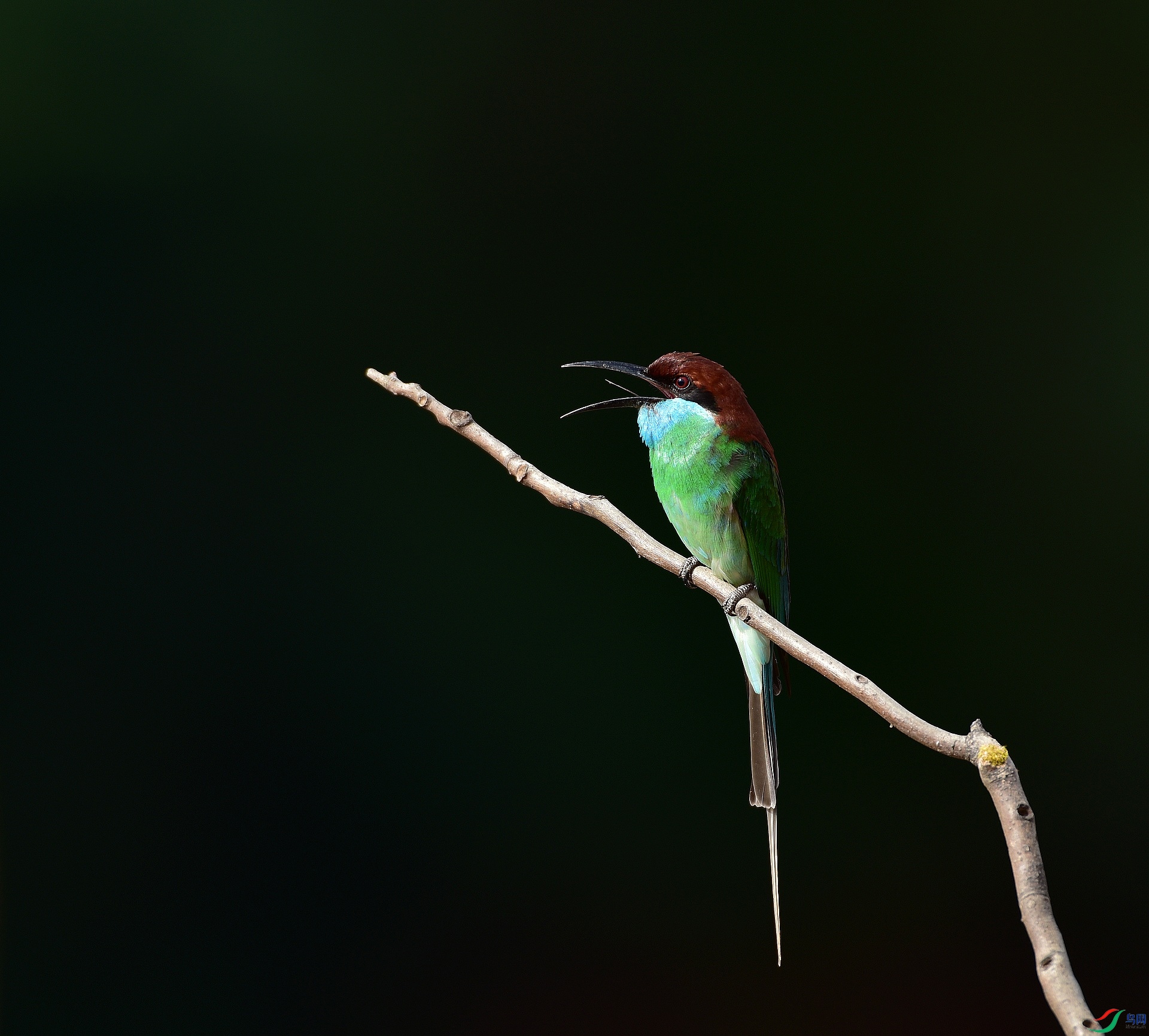 D8I_1387.jpg