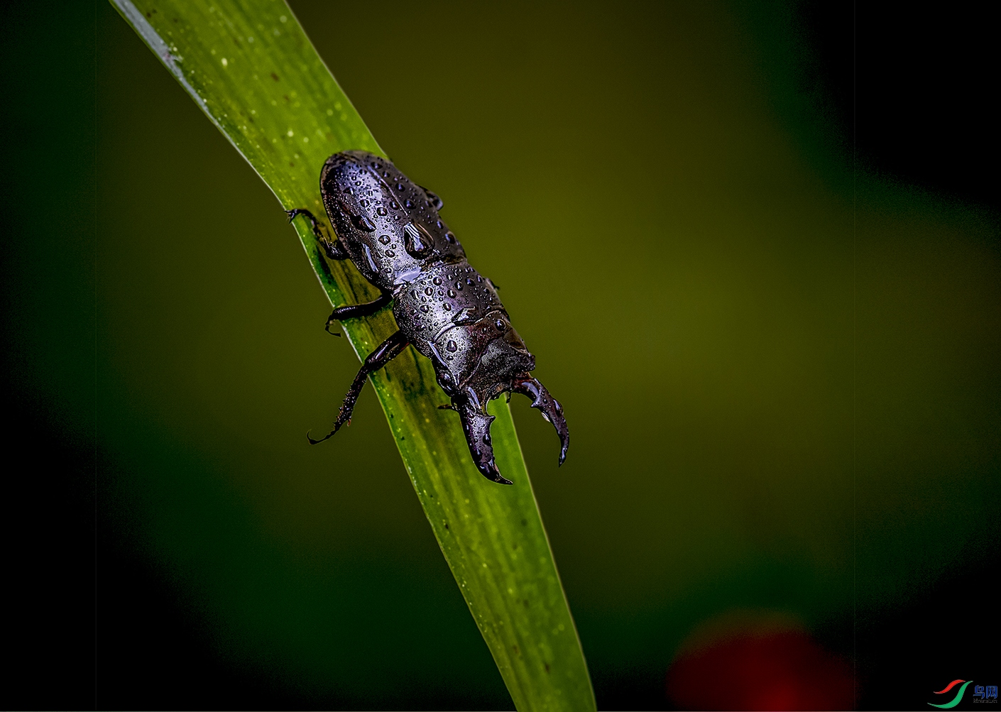 DSC_6302.jpg