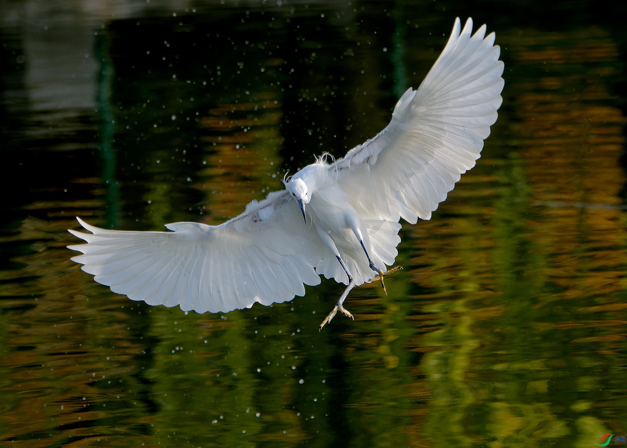 DSC_6436.jpg