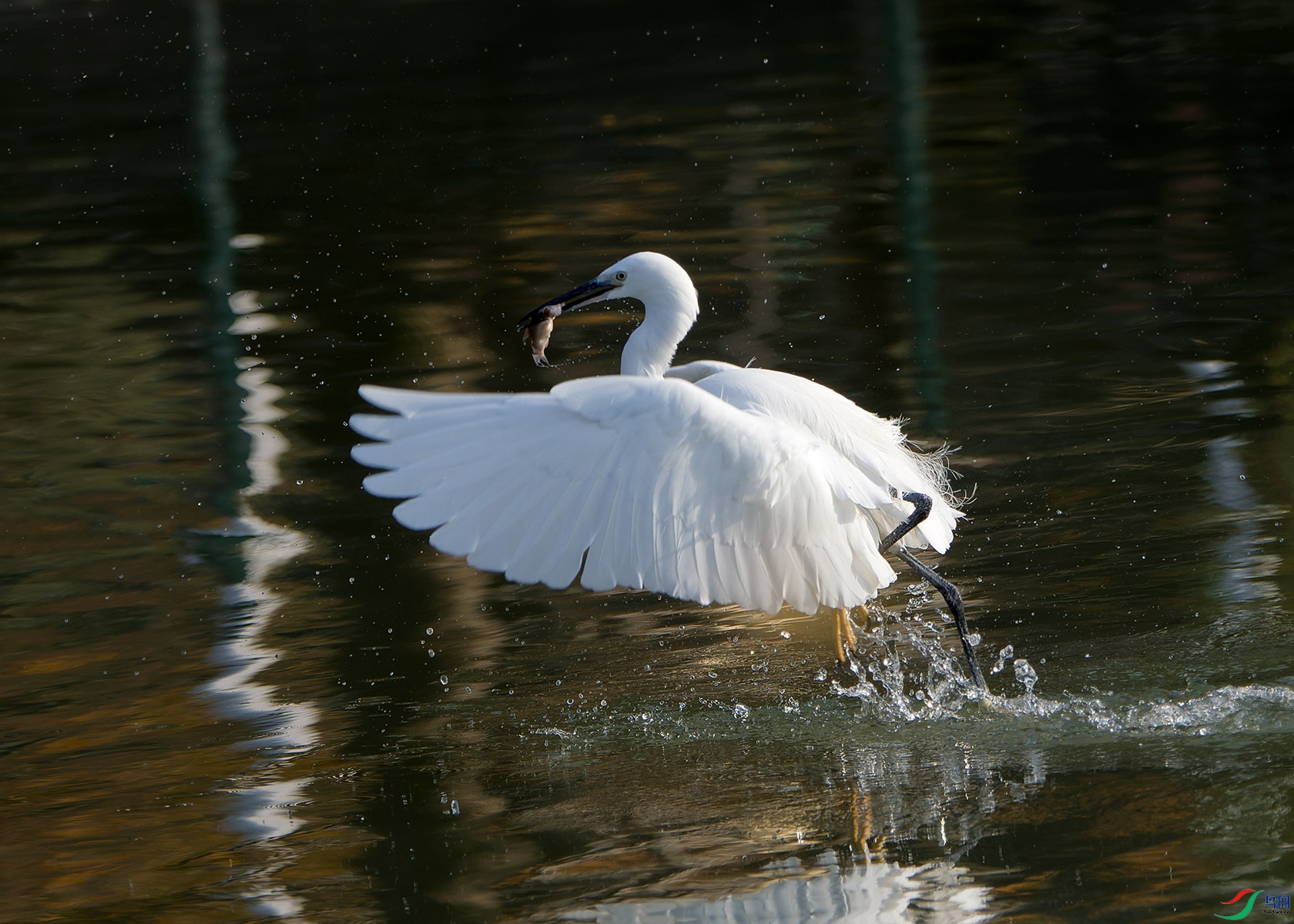 DSC_6473.jpg