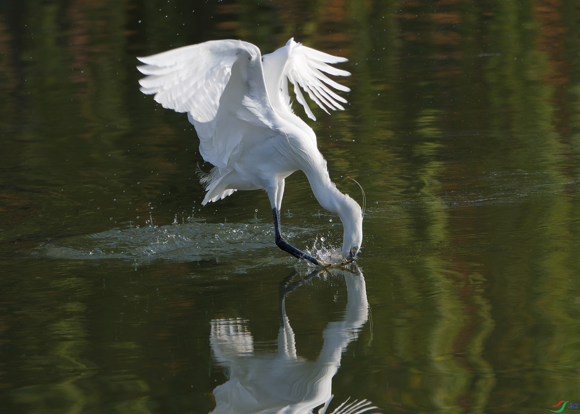DSC_6751.jpg