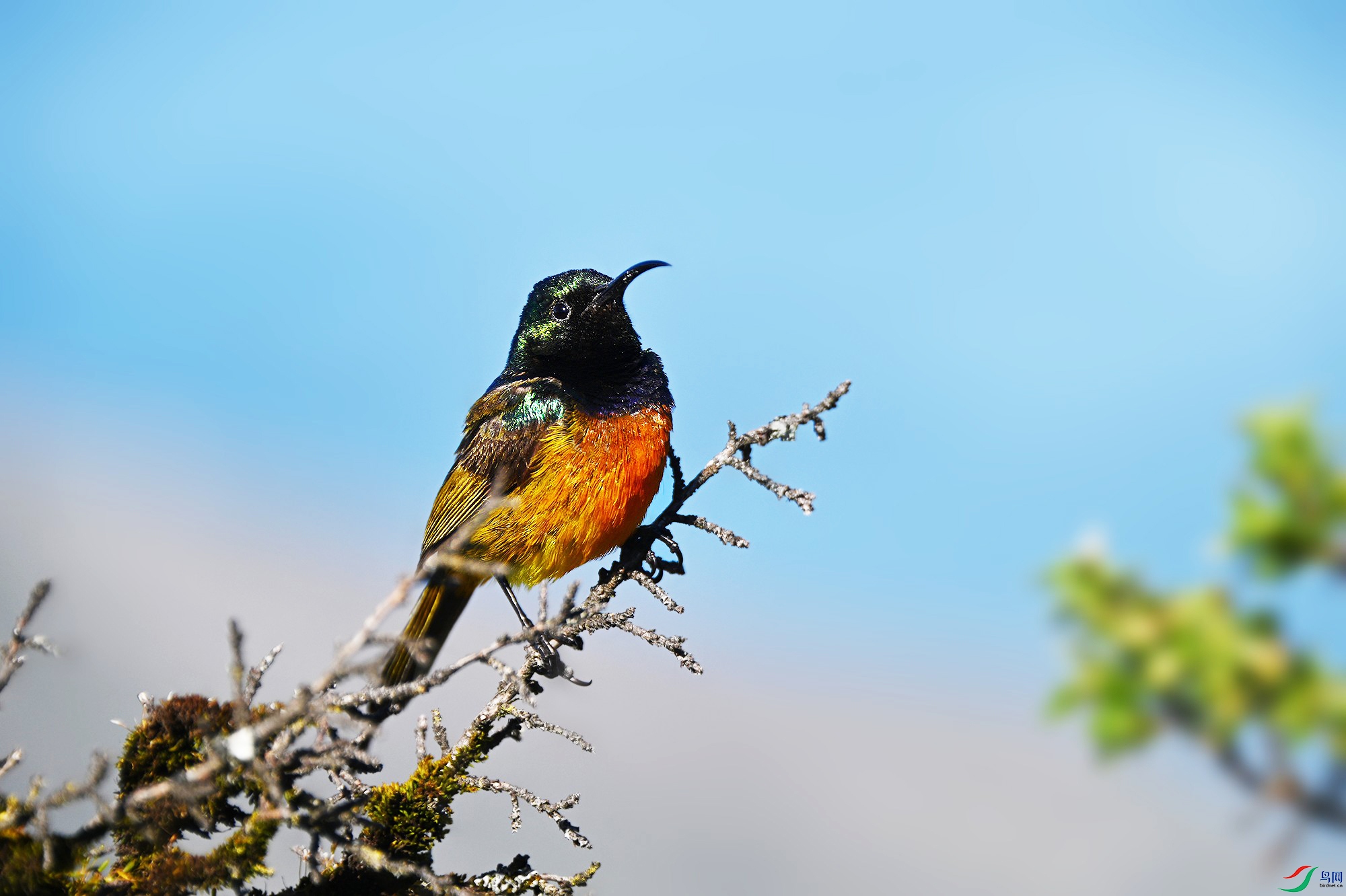 DSC_1549 - ����_.jpg