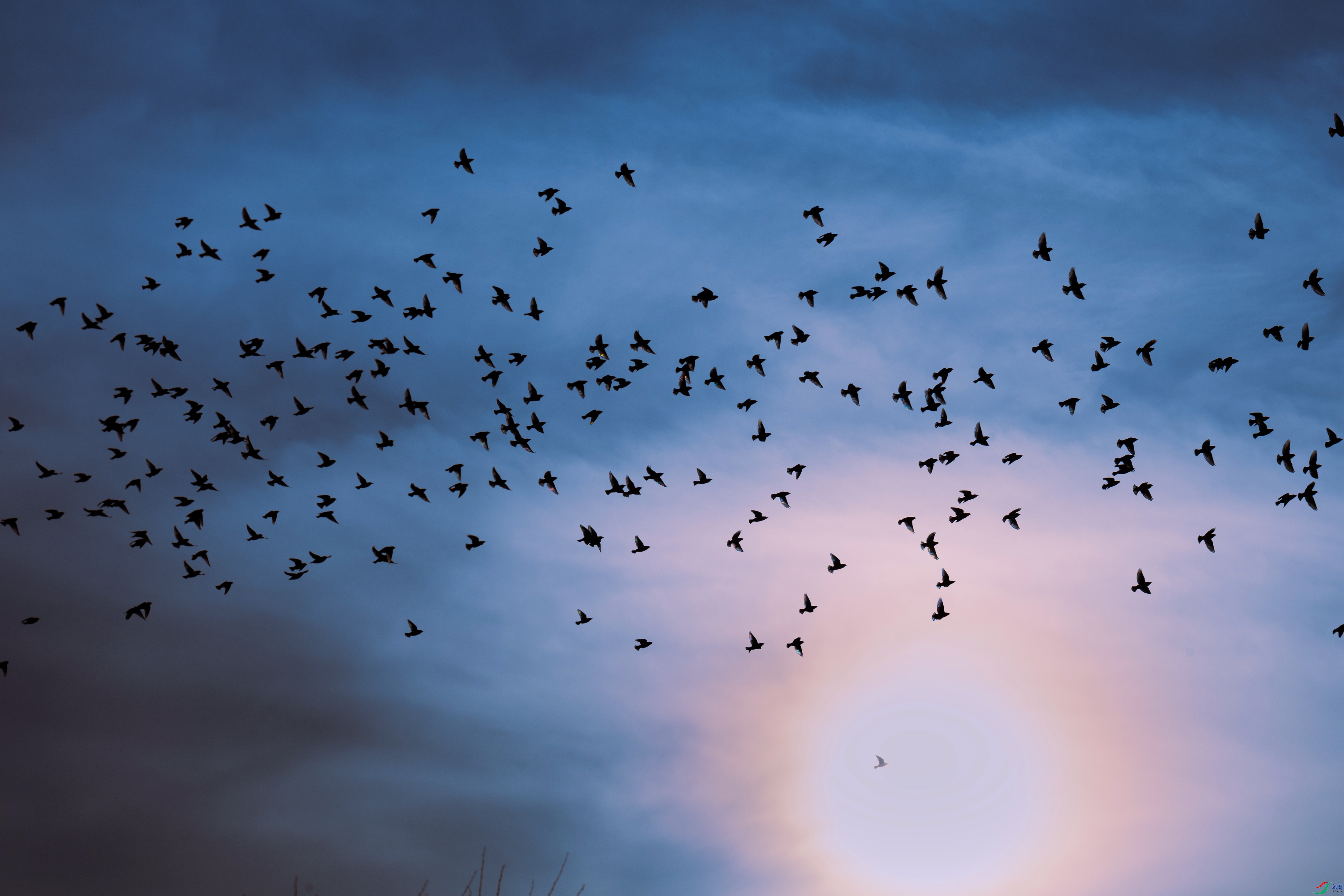 7X5A8906 - ����.jpg