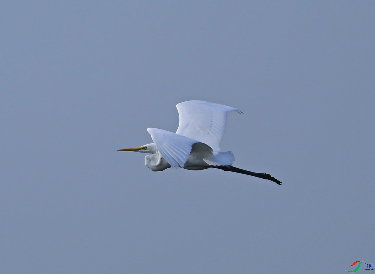 _DSC3745f.jpg