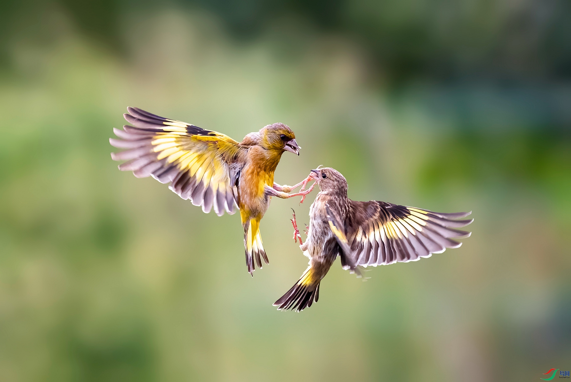 DSC_8659 ����_����.jpg