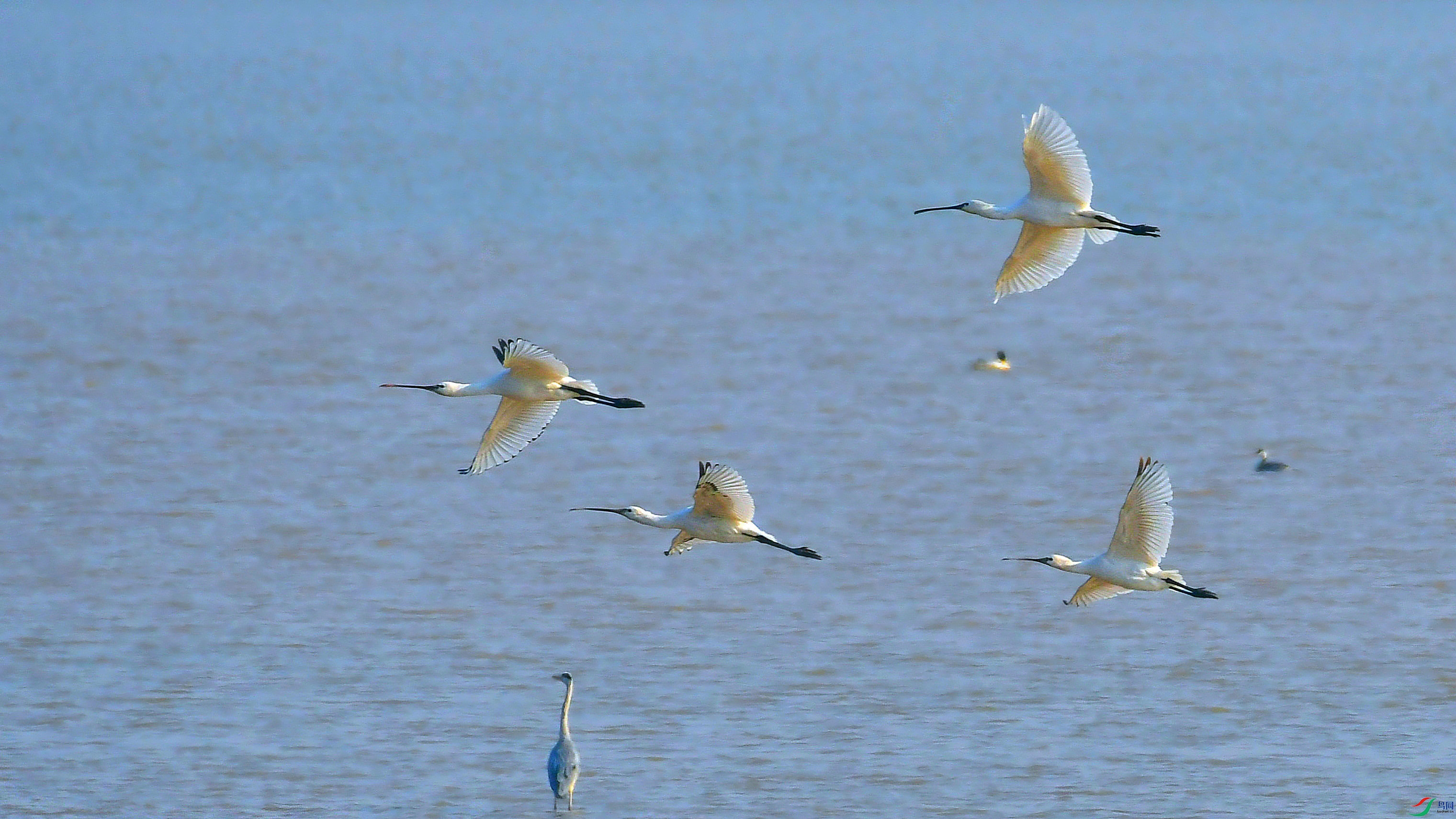 DSC_5024.JPG