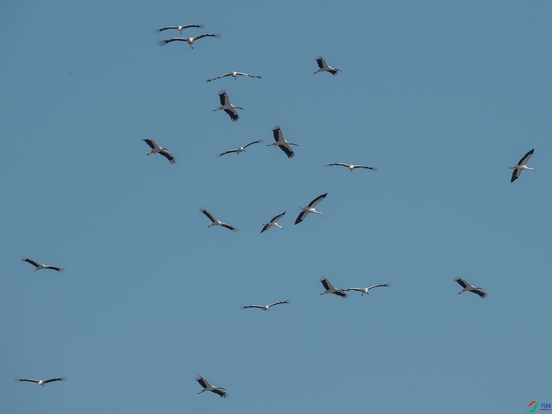 DSC_8667.jpg