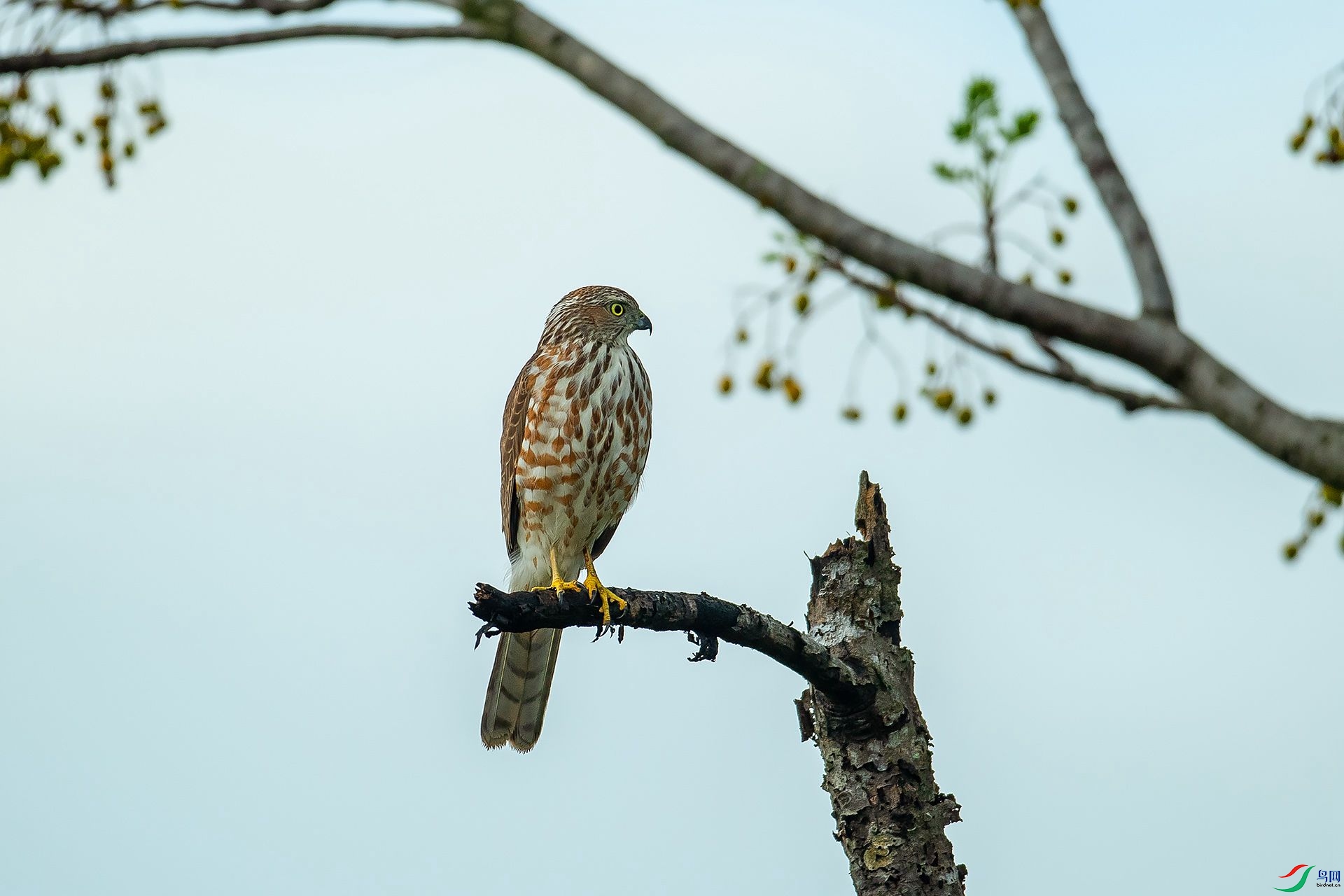 DSC_9414.jpg