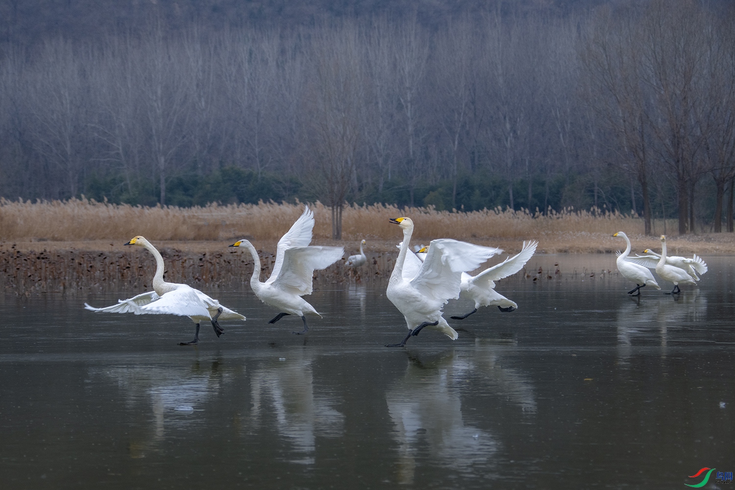 DSC_4398.jpg