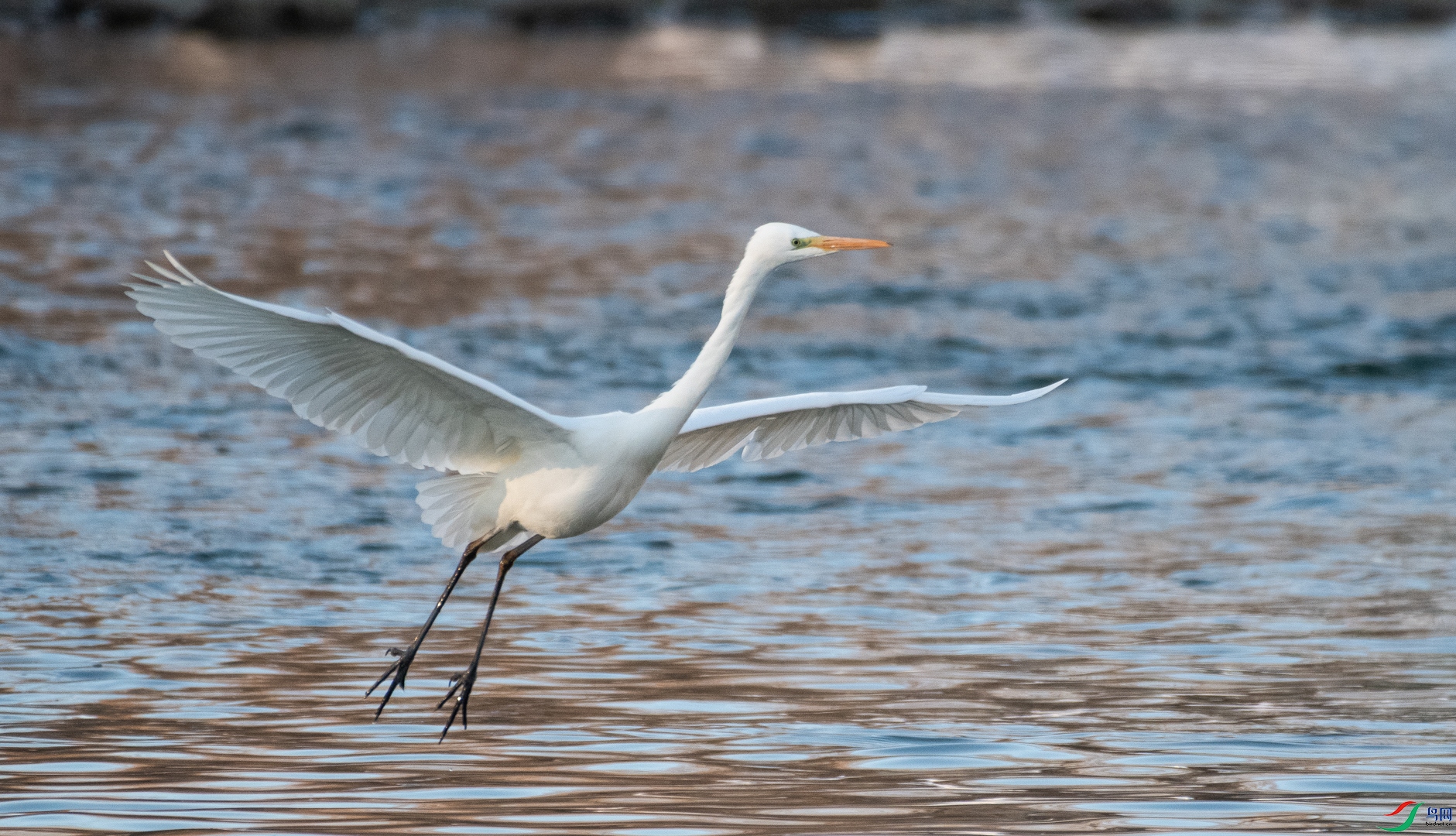 DSC_2027.jpg