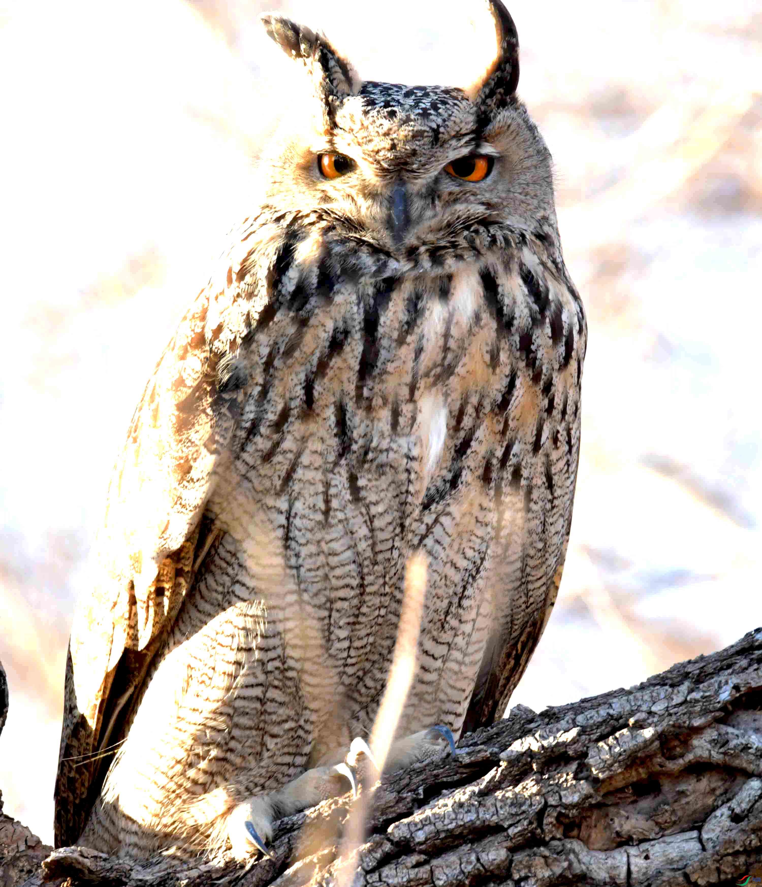 DSC_8314.JPG