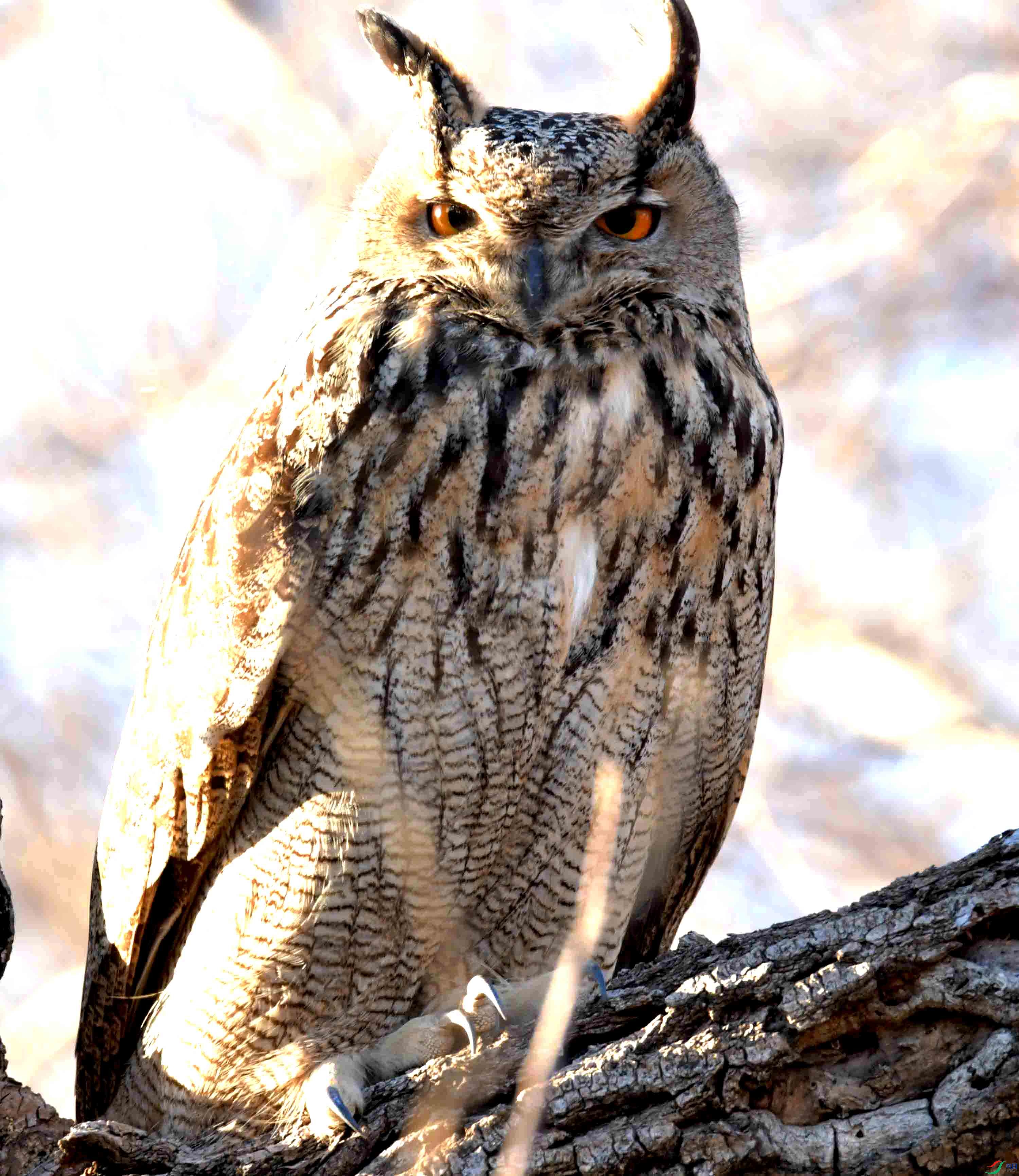 DSC_8315.JPG