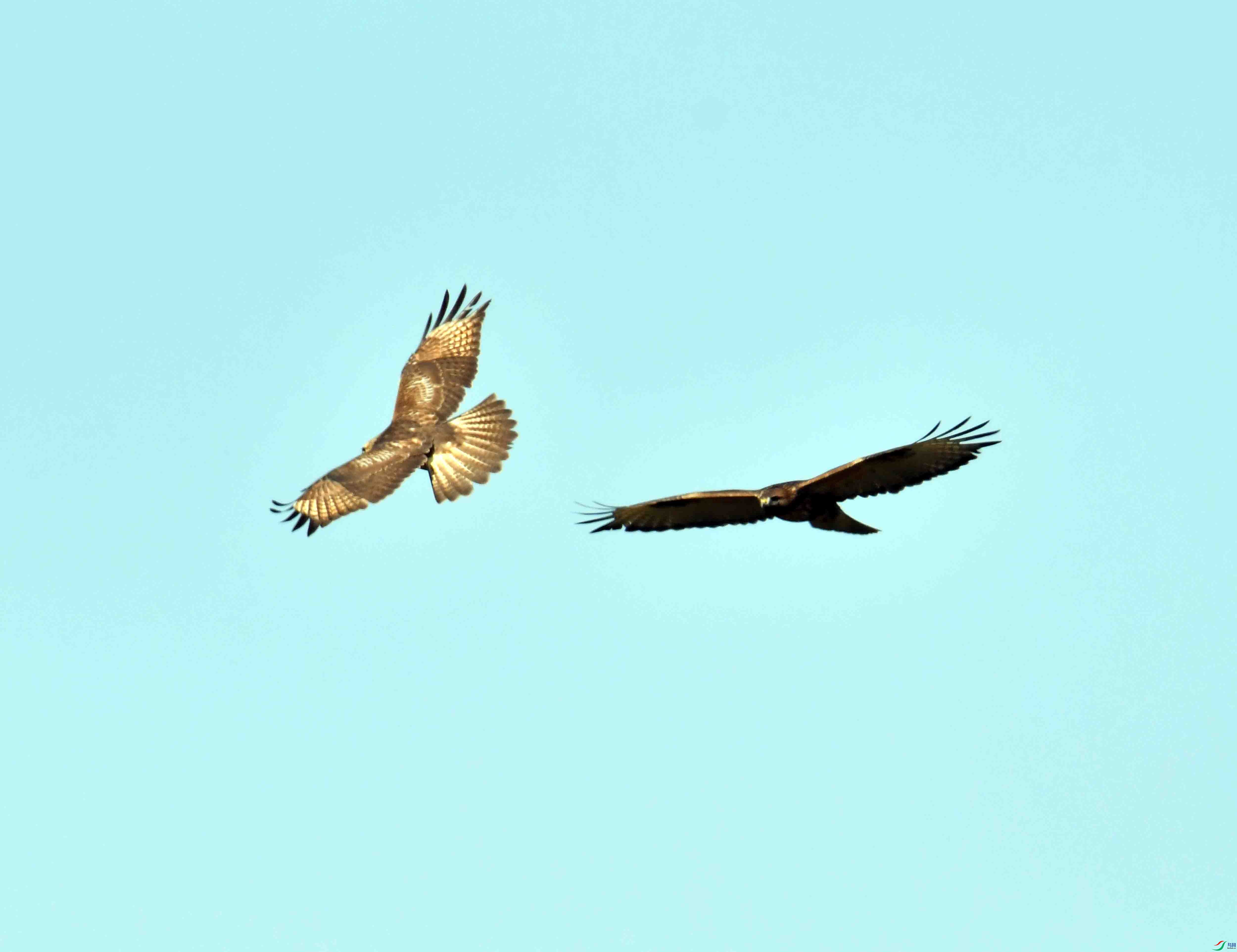 DSC_0447.JPG