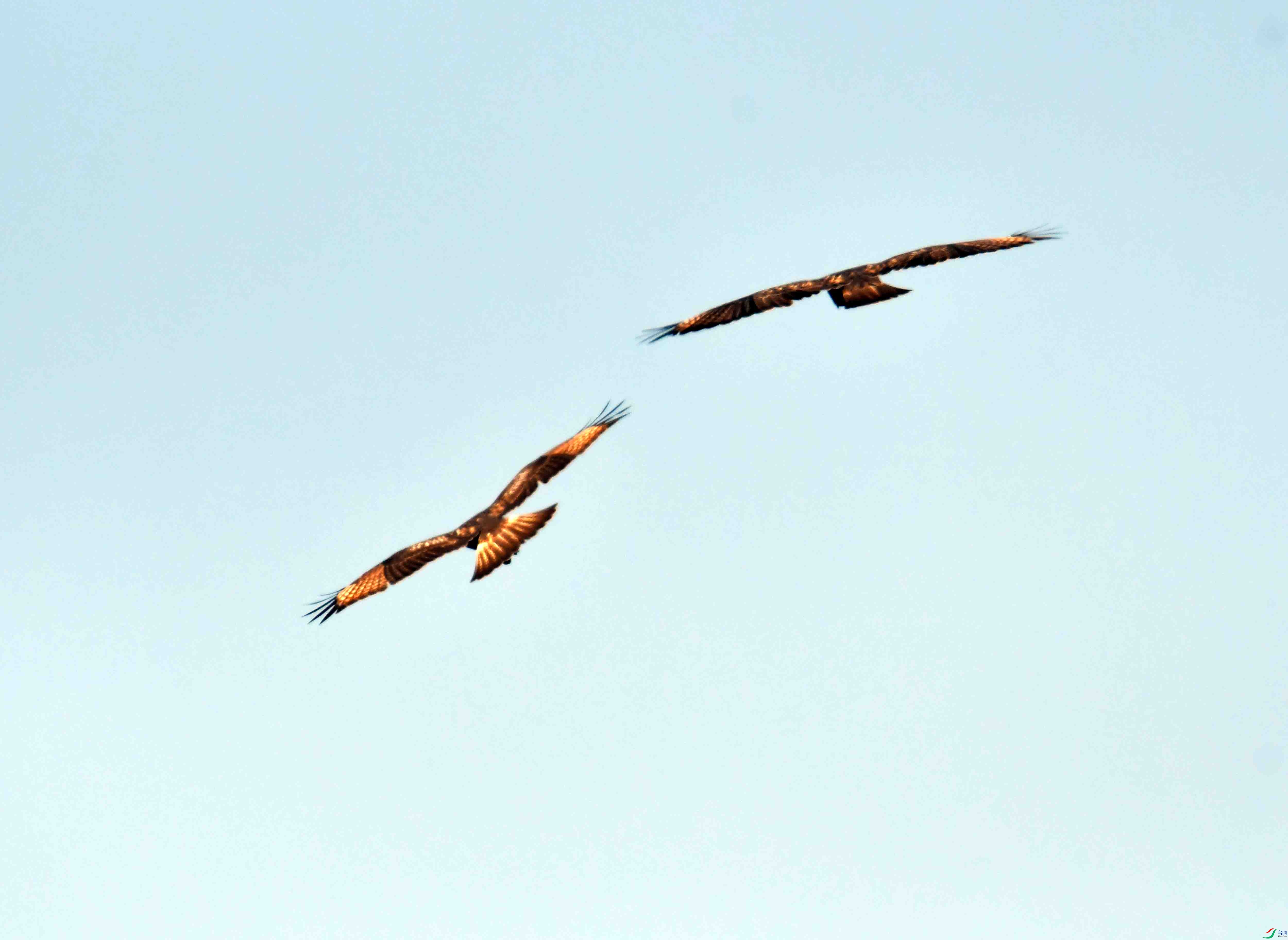 DSC_0454.JPG