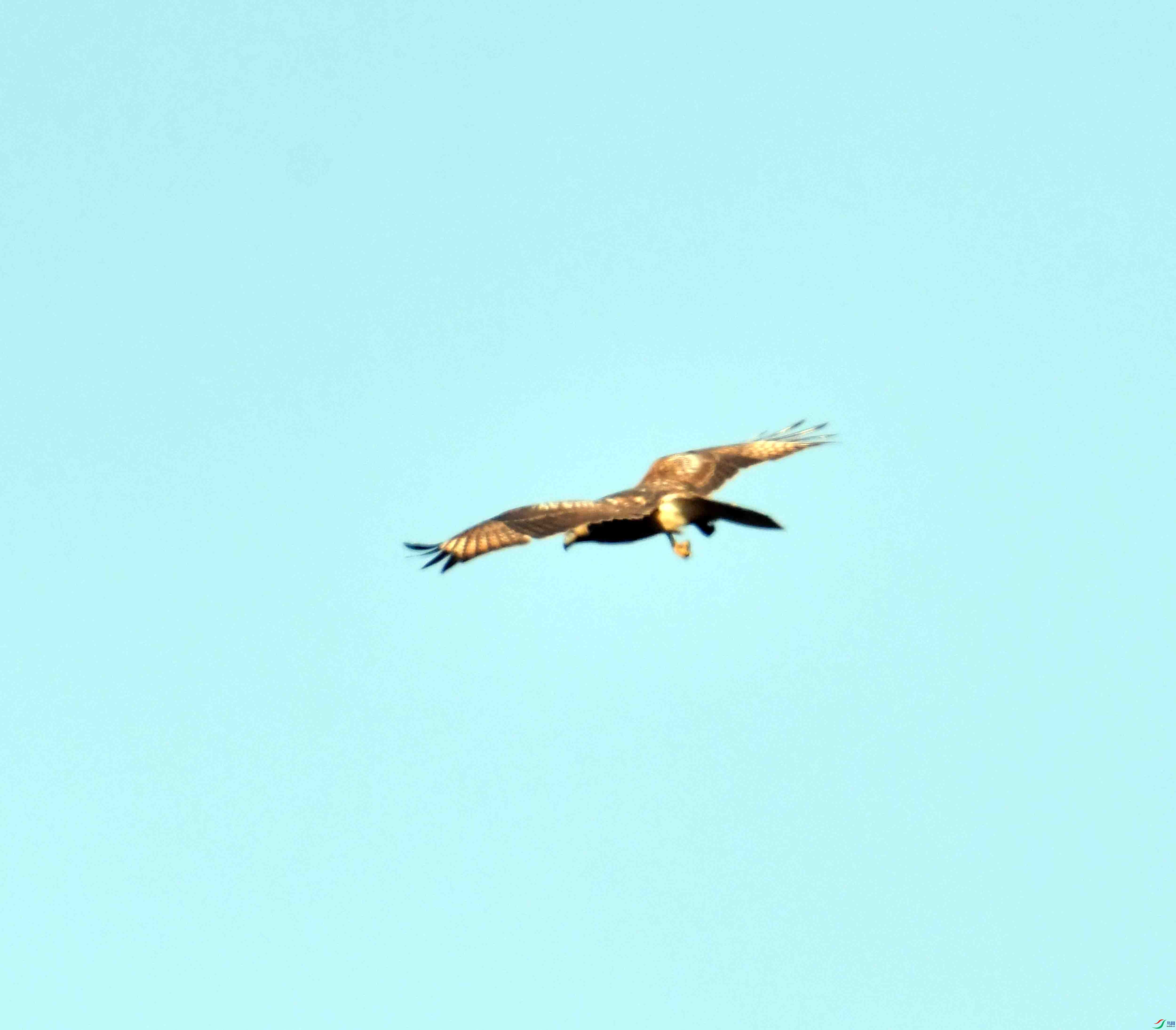 DSC_0463.JPG