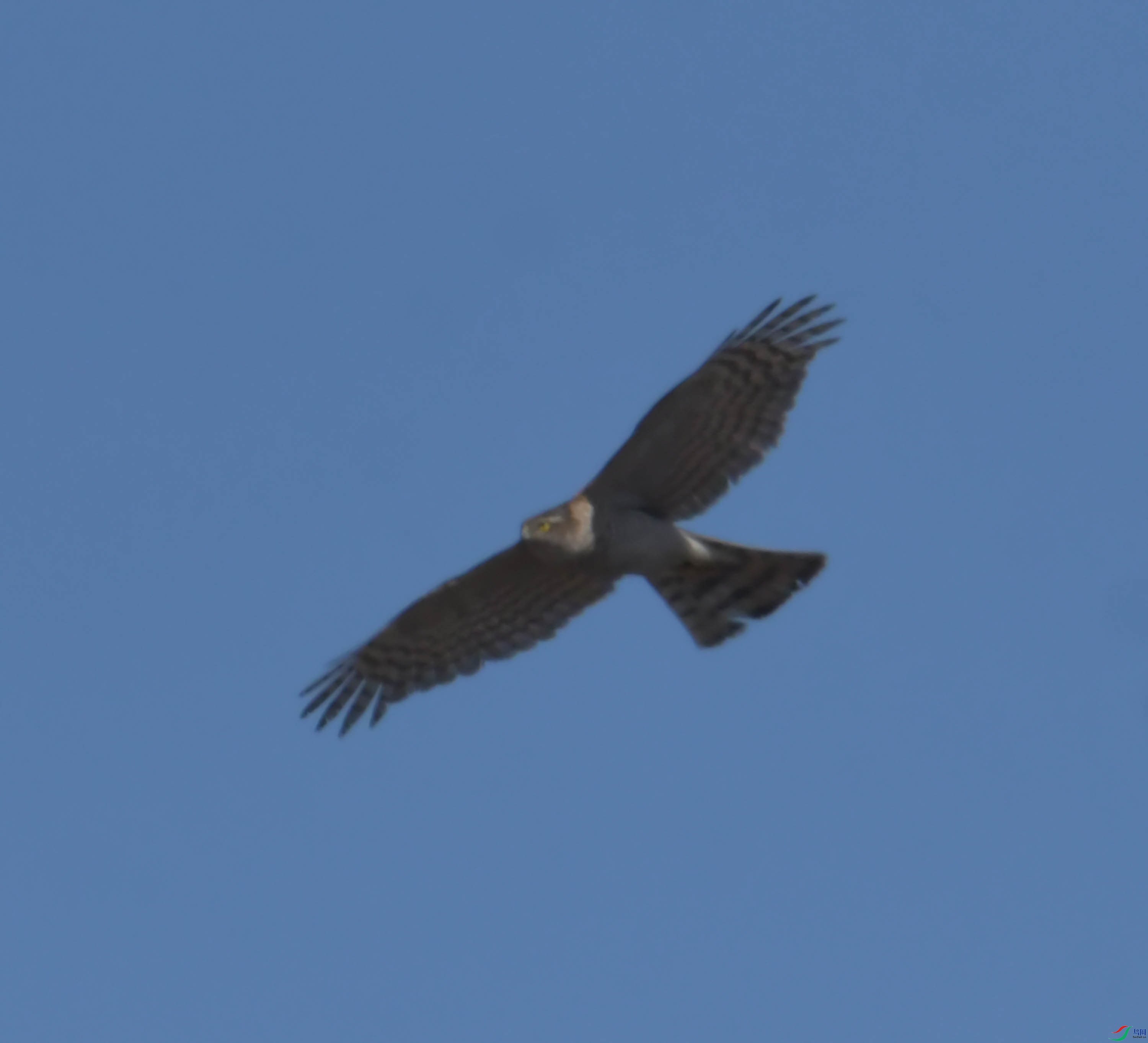 DSC_8276.JPG