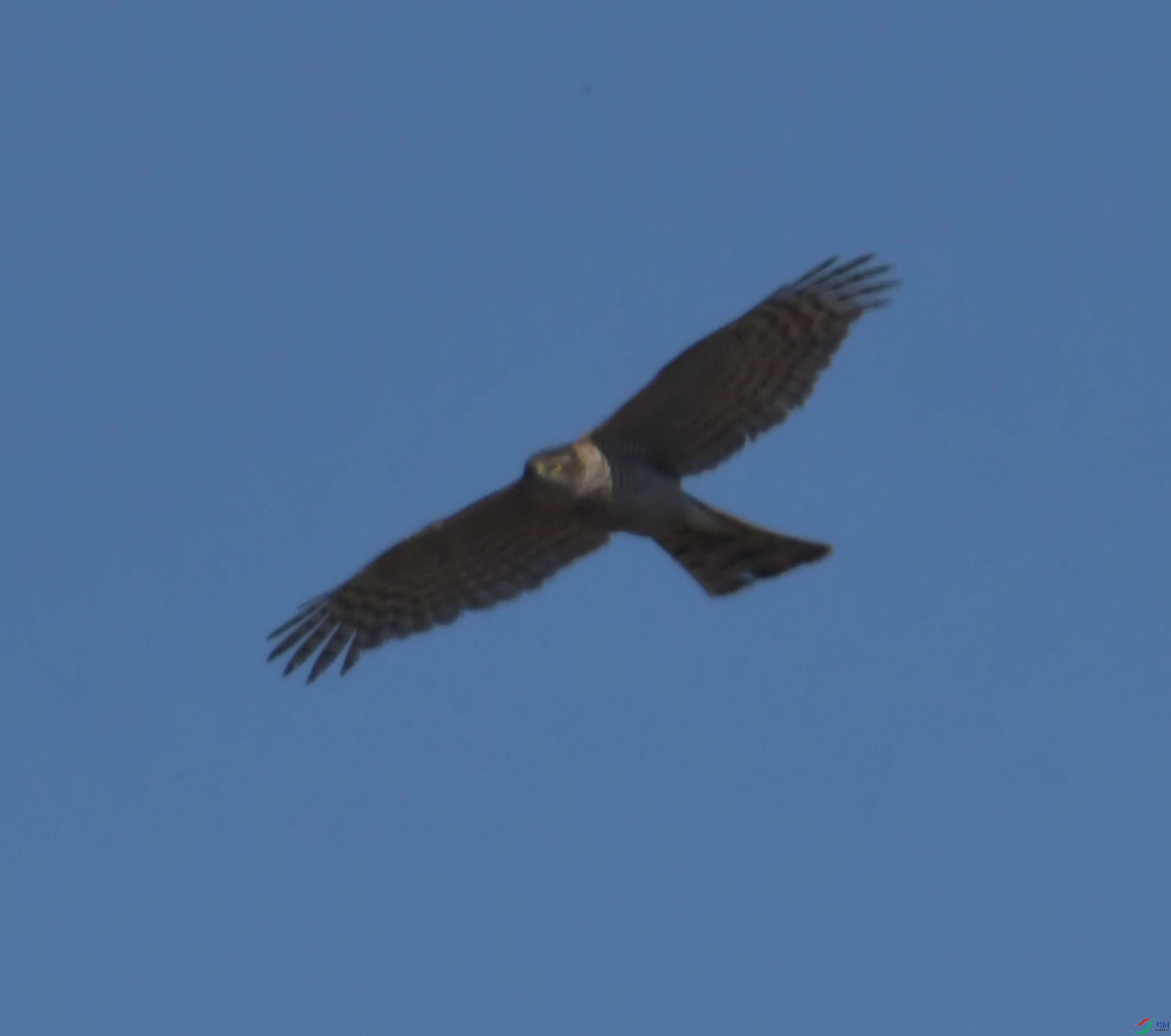 DSC_8279.JPG